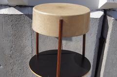 Molded Fiberglass and Birch Table Lamp by Bill Lam