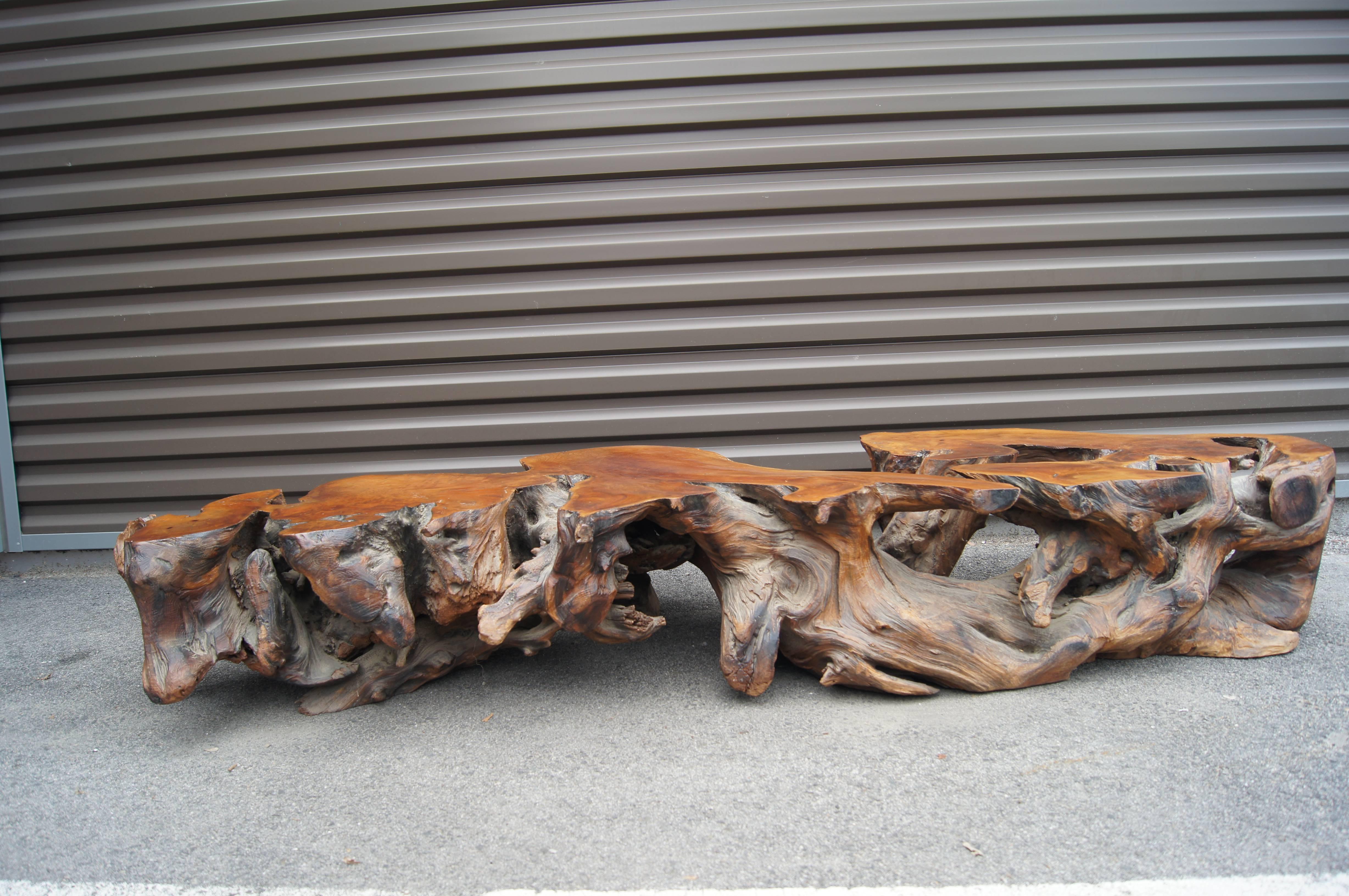 polished driftwood