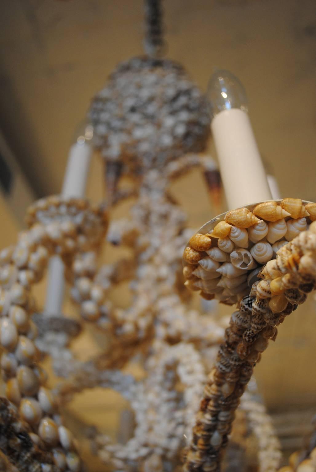 Chandelier made from individual small assorted sea shells.