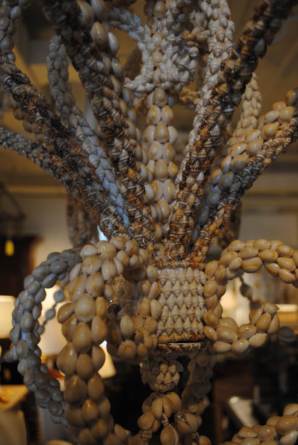 Sea Shell Chandelier In Excellent Condition In Boston, MA