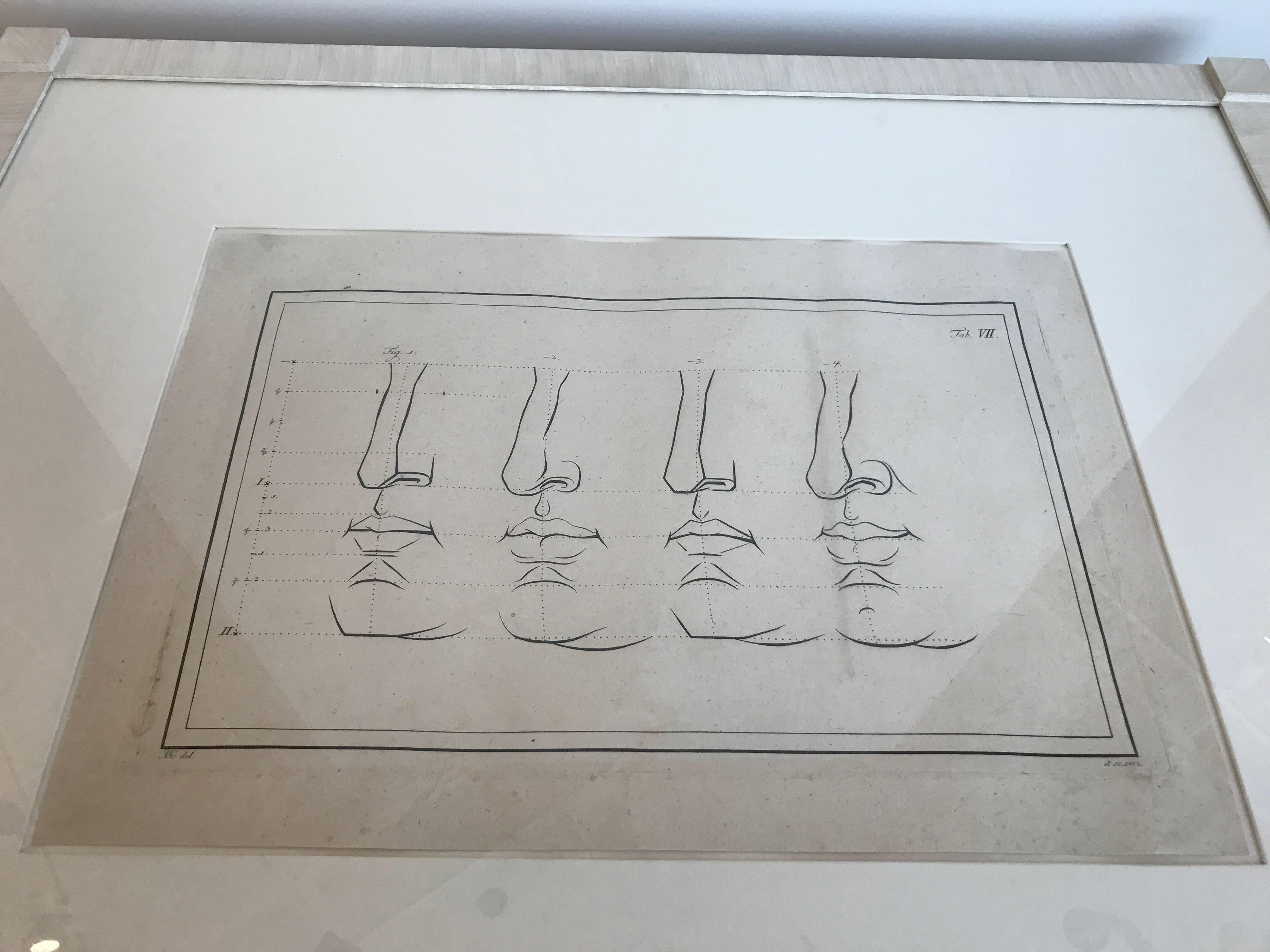 18th Century and Earlier 18th Century Italian Engraving of Nose Studies