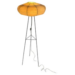 Mid-century Floor Lamp With Raffia Shade, 1950s