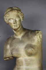 Caproni Brothers Plaster Casting of Venus De Milo