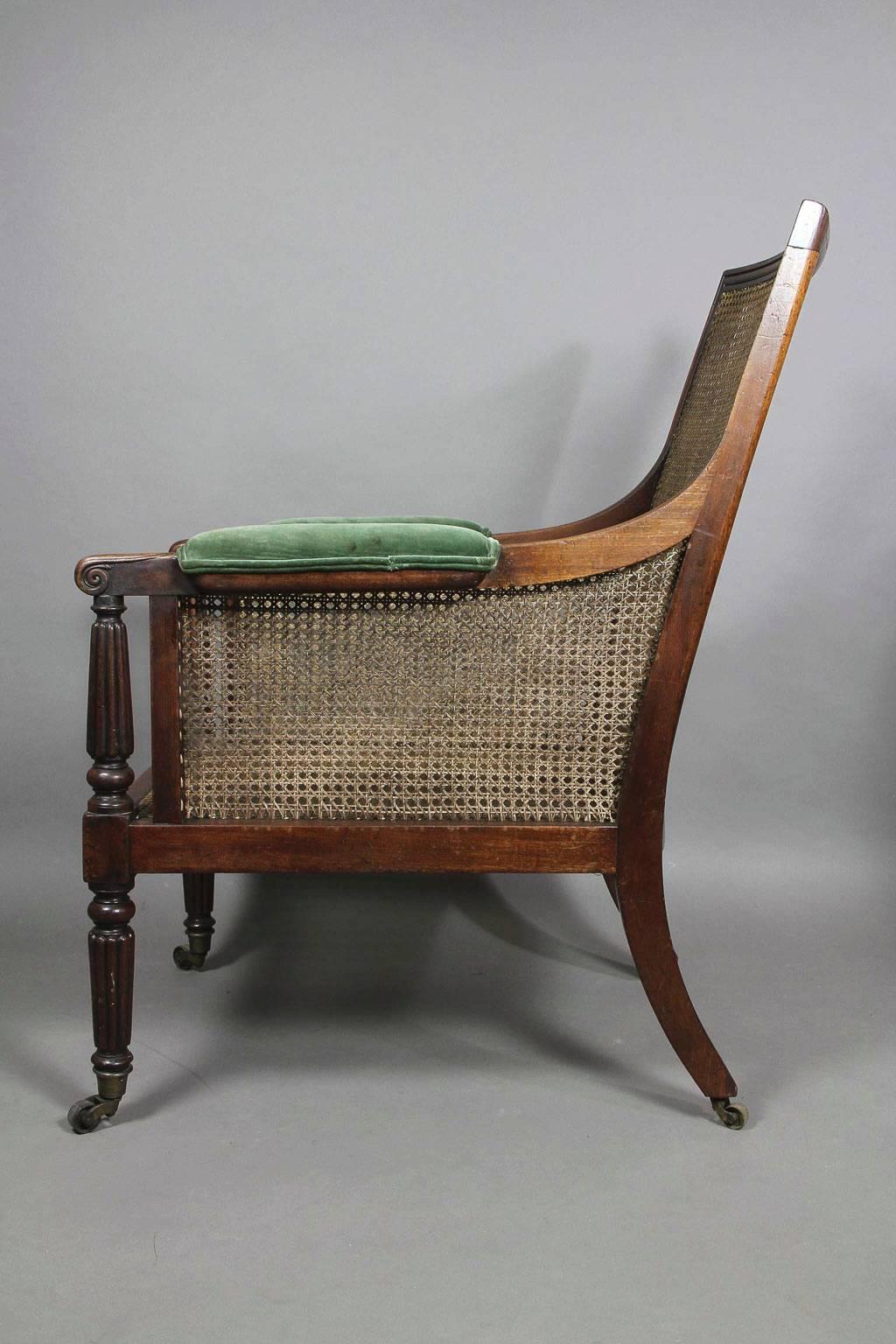 19th Century Regency Mahogany Caned Bergere Chair