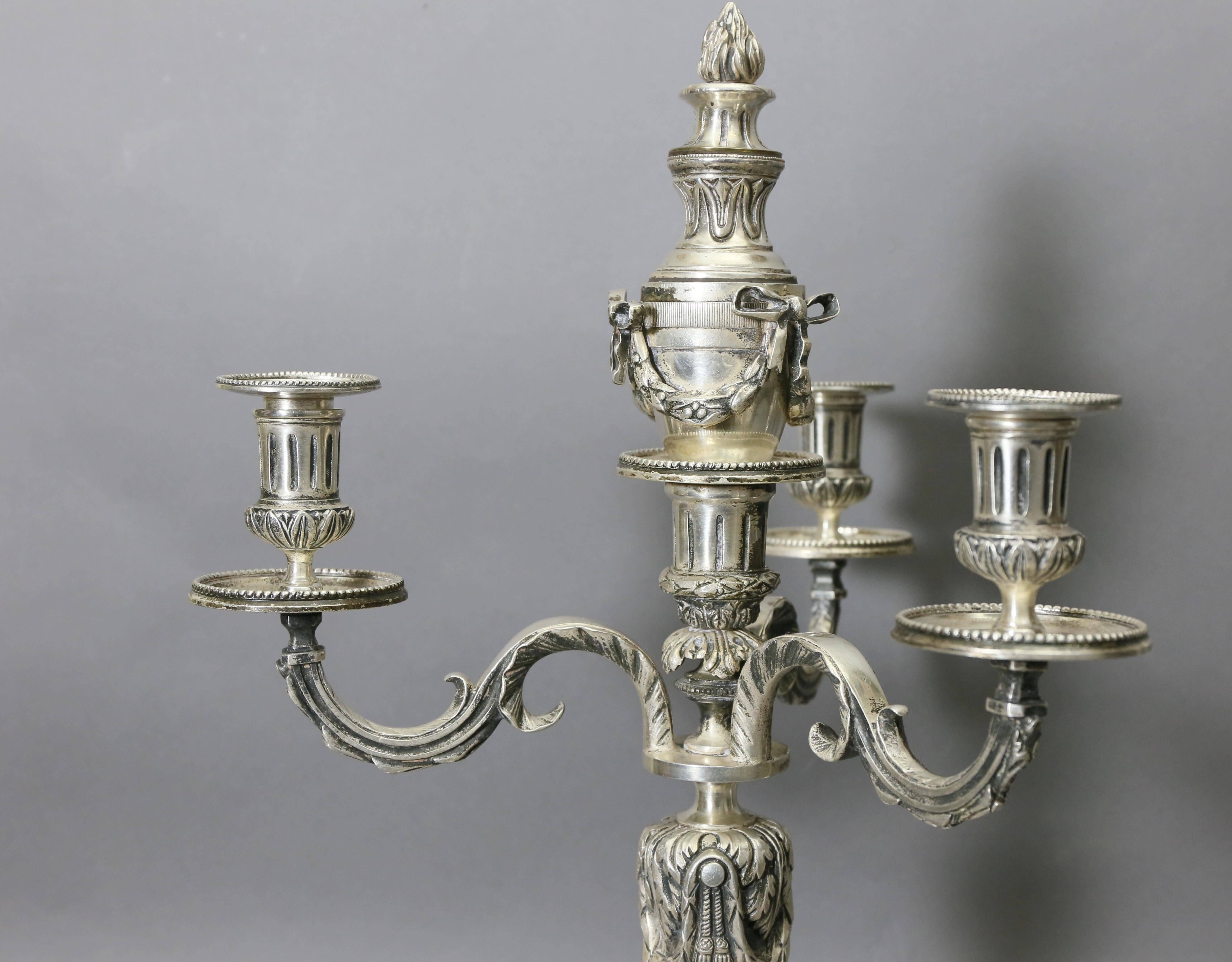 Pair of Louis XVI Style Silvered Bronze Candelabra 2
