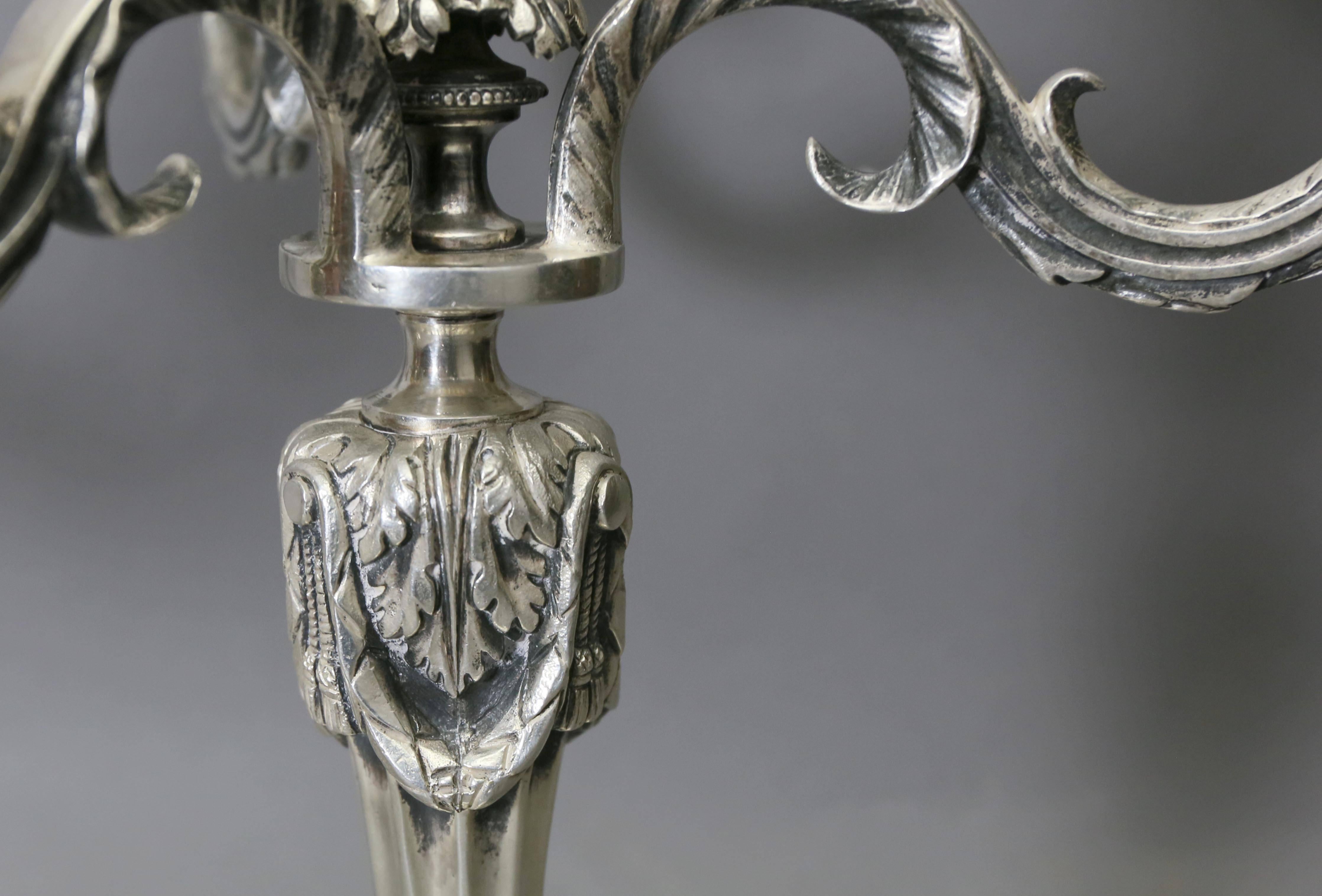 Other Pair of Louis XVI Style Silvered Bronze Candelabra