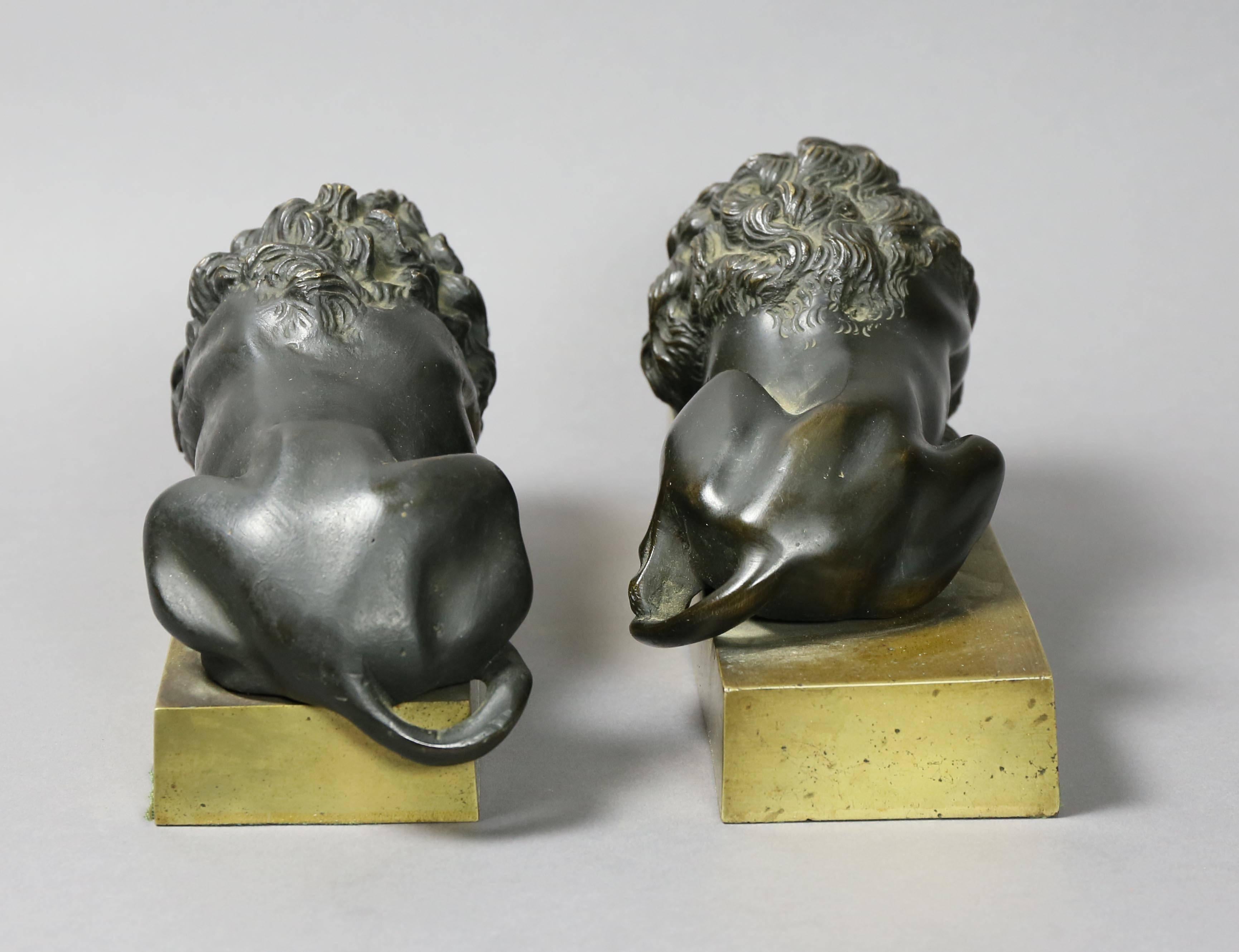 Late 18th Century Pair of Italian Bronze Lions After Canova