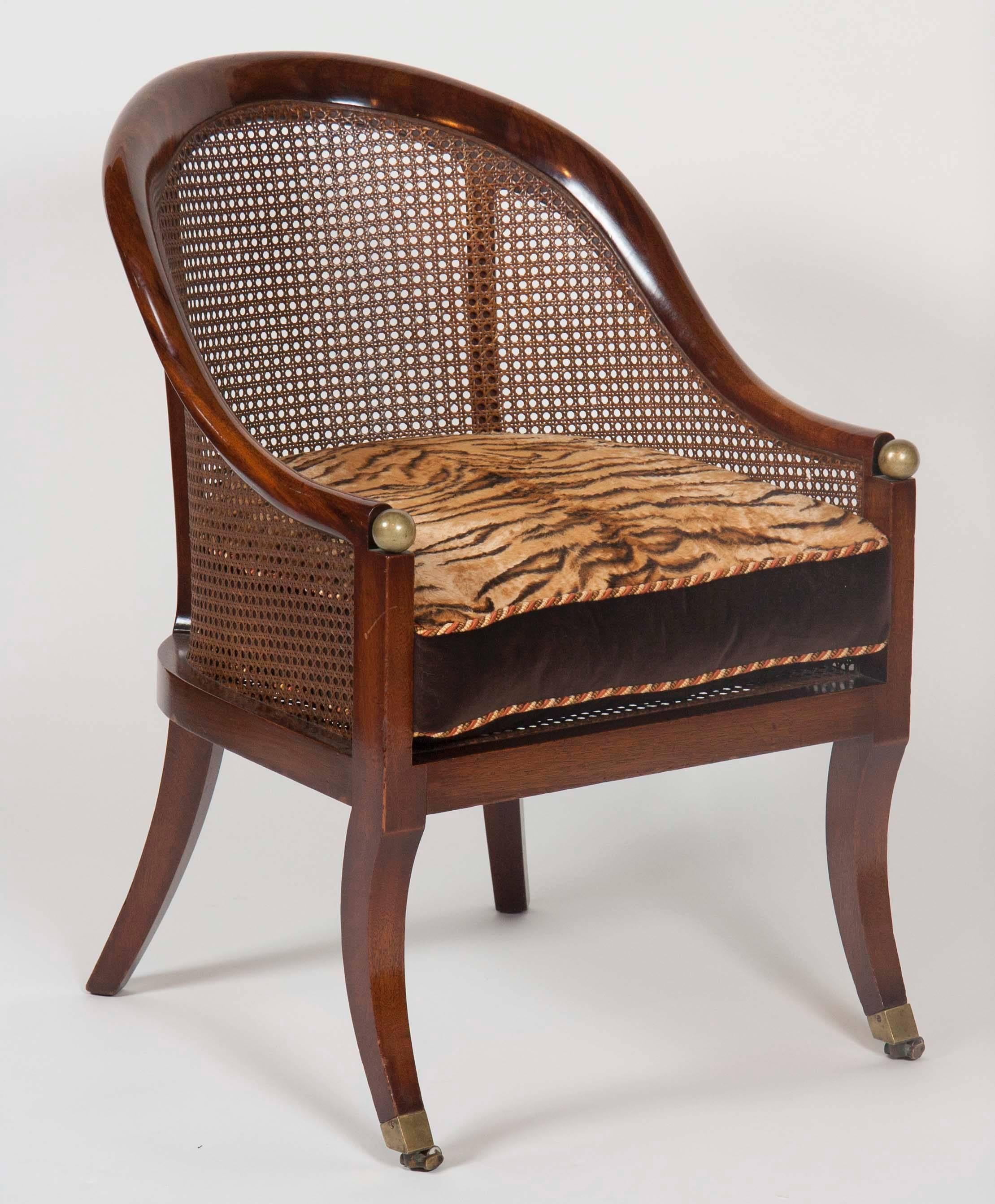 Each with arched rounded back and straight seat and caned overall raised on saber legs and casters, with cushions.