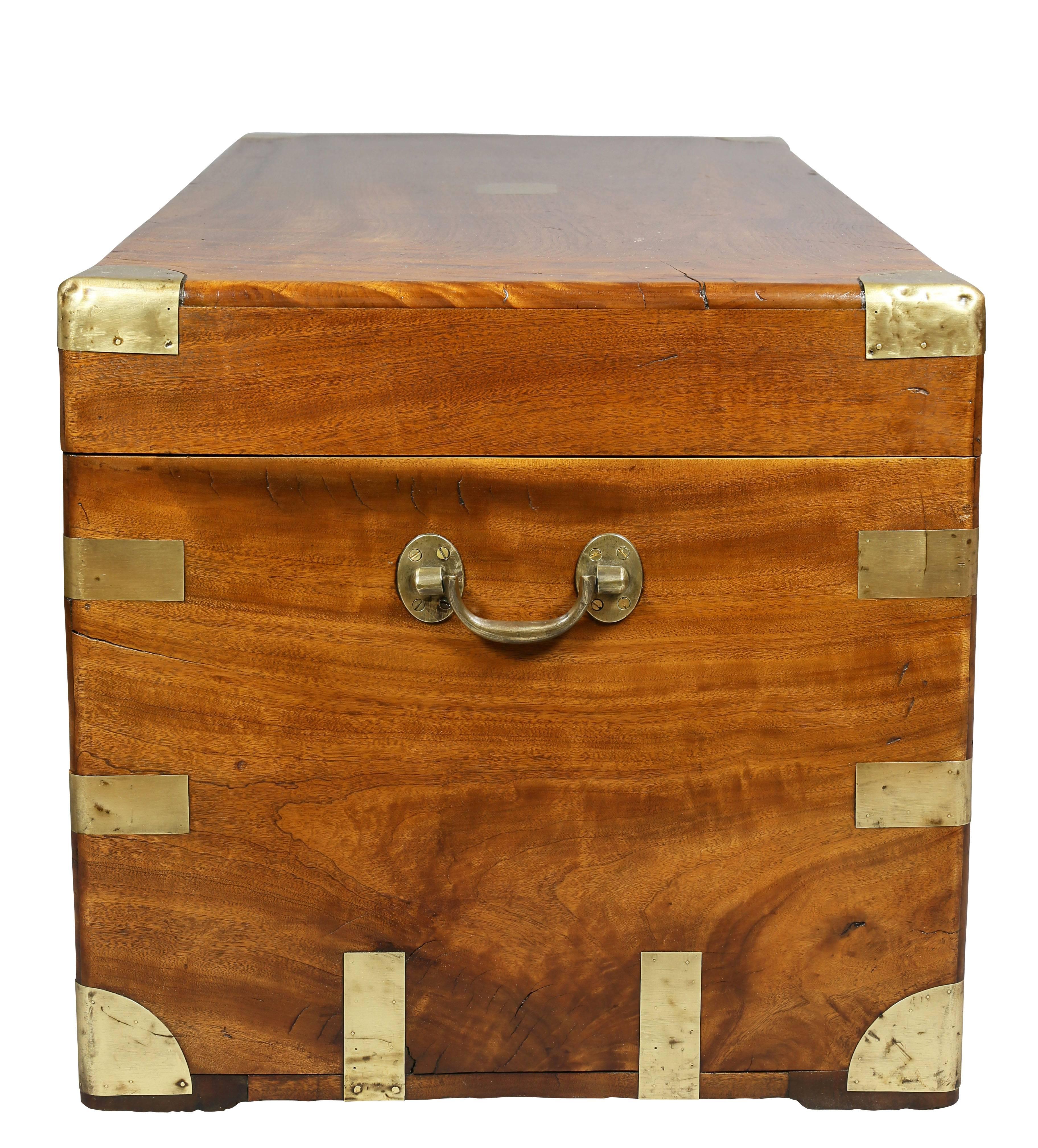 Chinese Export Brass Bound Camphor Wood Trunk 3