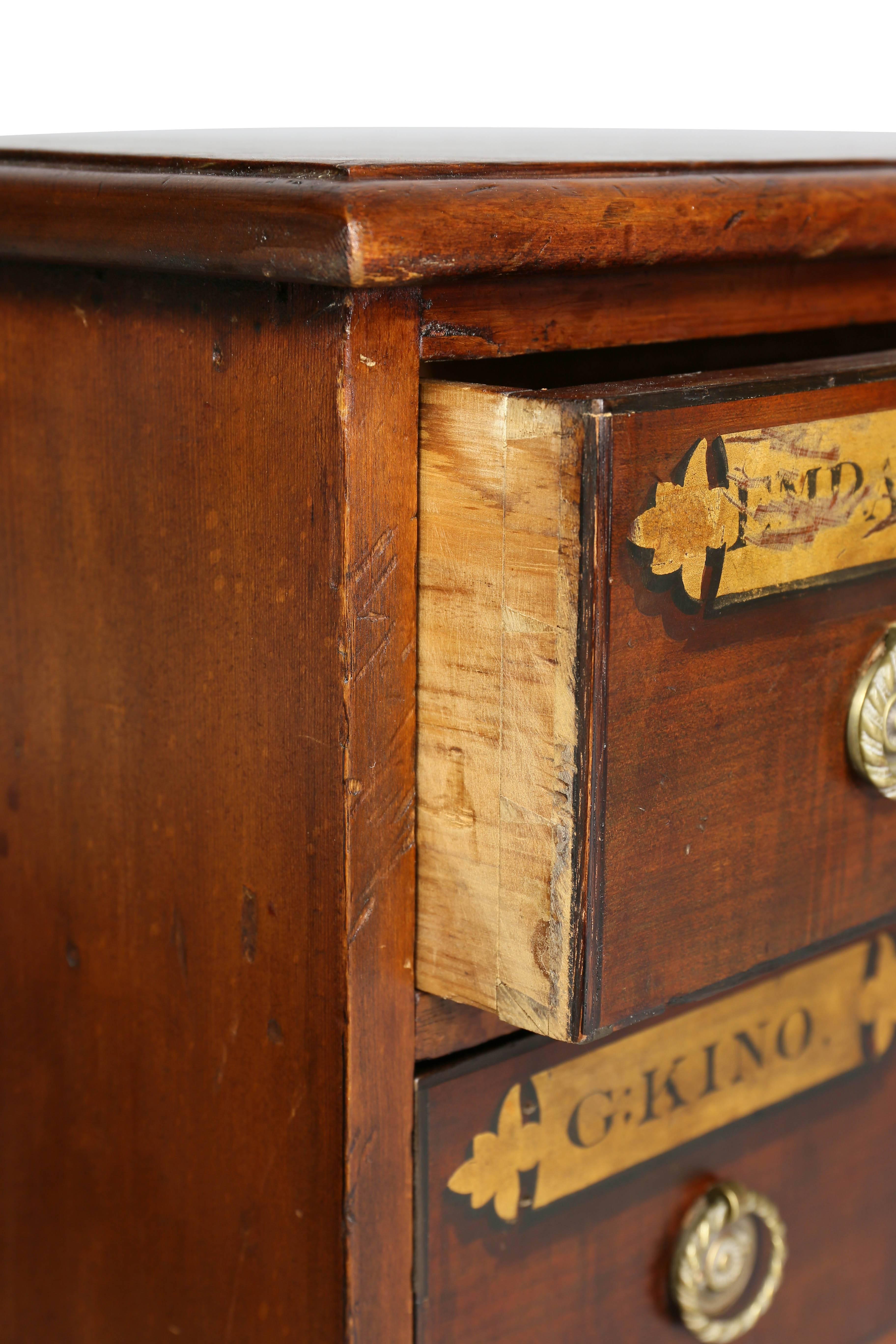 Pair of Georgian Style Apothecary Chests 1