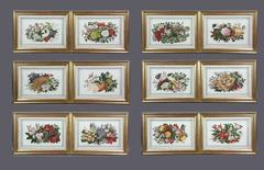 Set of Twelve Chinese Export Pith Paper Watercolor Botanicals