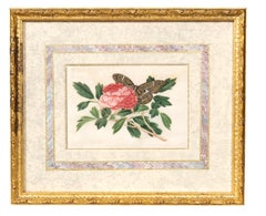Set Of Four Chinese Export Framed Pith Paper Watercolors Of Plants And Insects