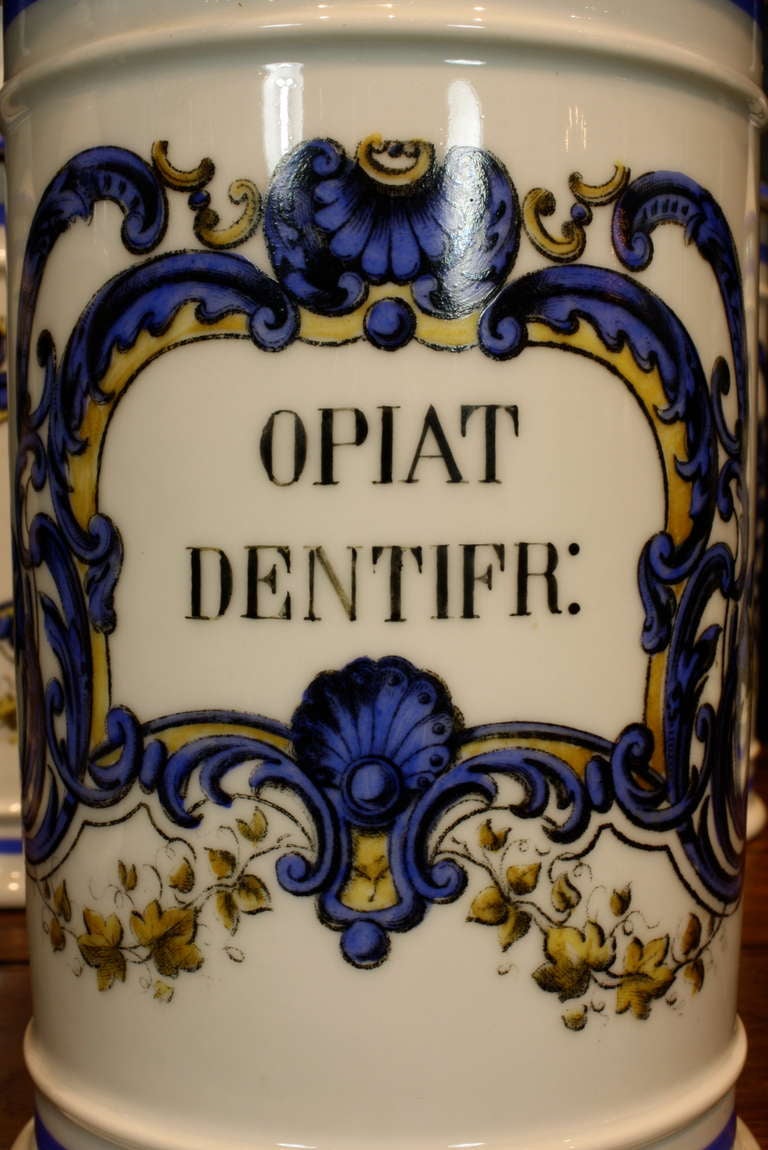 Set French Porcelain Apothecary Jars with Painted Decoration and Mark 1