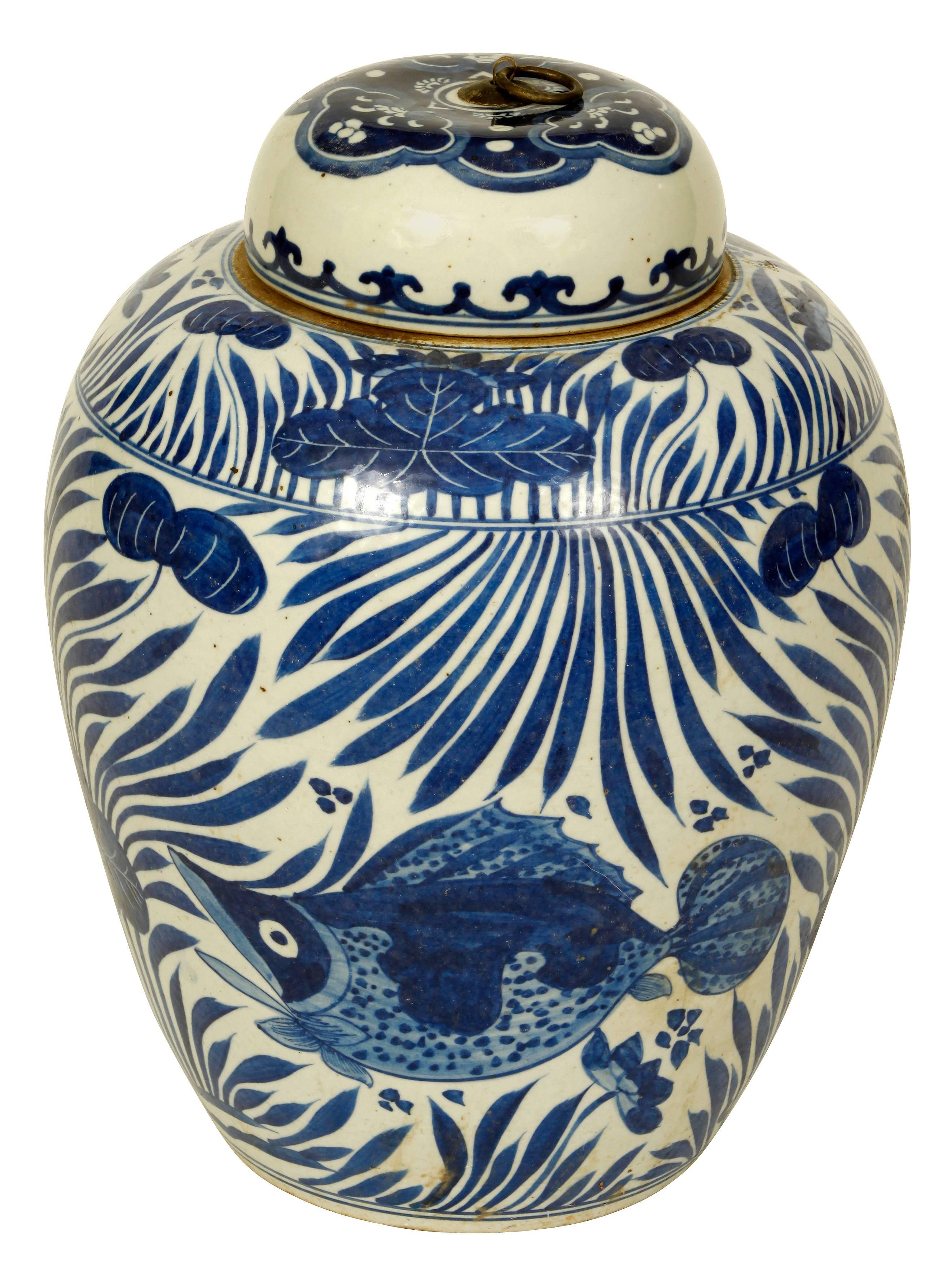 A pair of Chinese export ginger jars with blue and white lids with a stunning glaze.