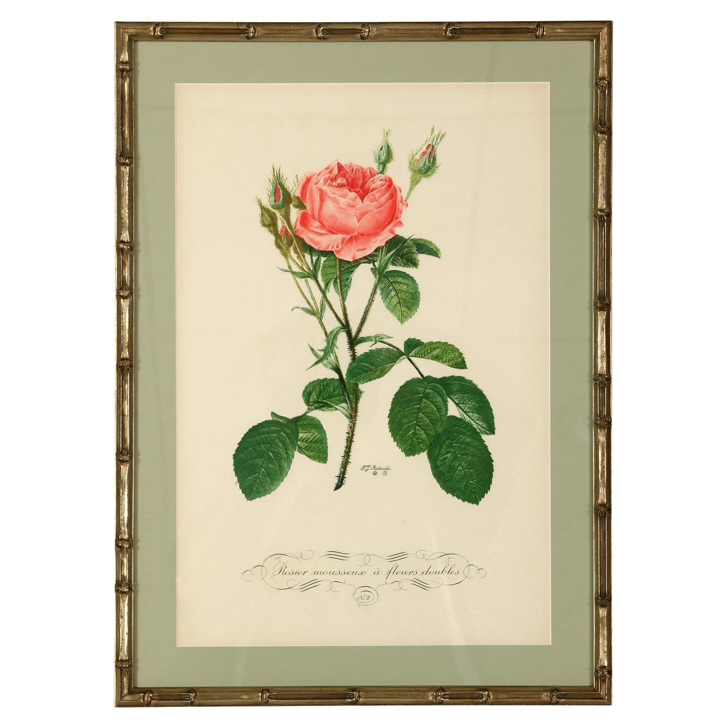 Prints from France in Faux Bamboo Frames For Sale