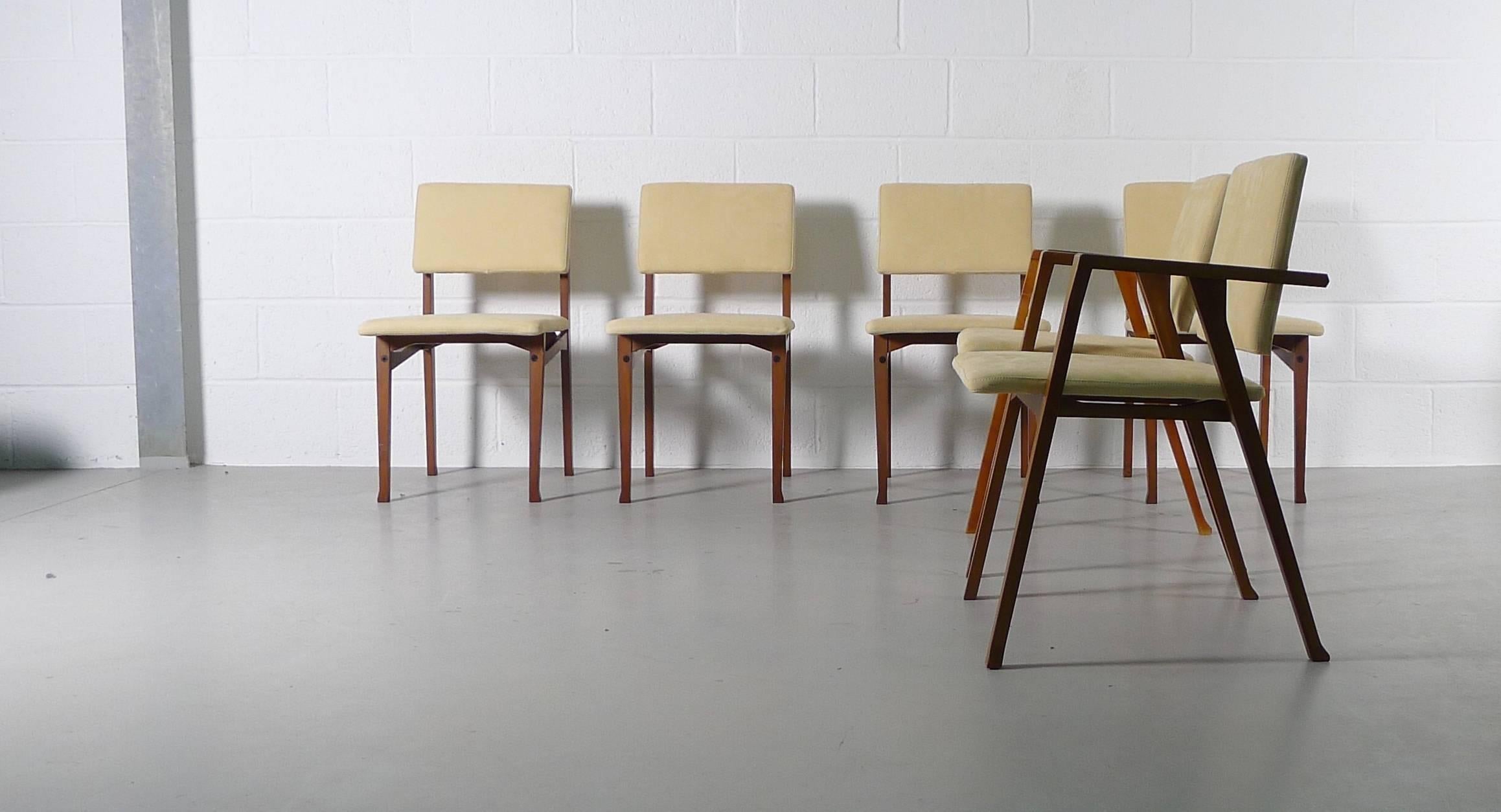 Franco Albini for Poggi, Italy. A set of two Luisa and four Luisella dining chairs, all professionally reupholstered in Supersoft Nubuck leather. Armchairs feature the wonderful “knuckle“ joints on the arms, the side chairs are rare.
