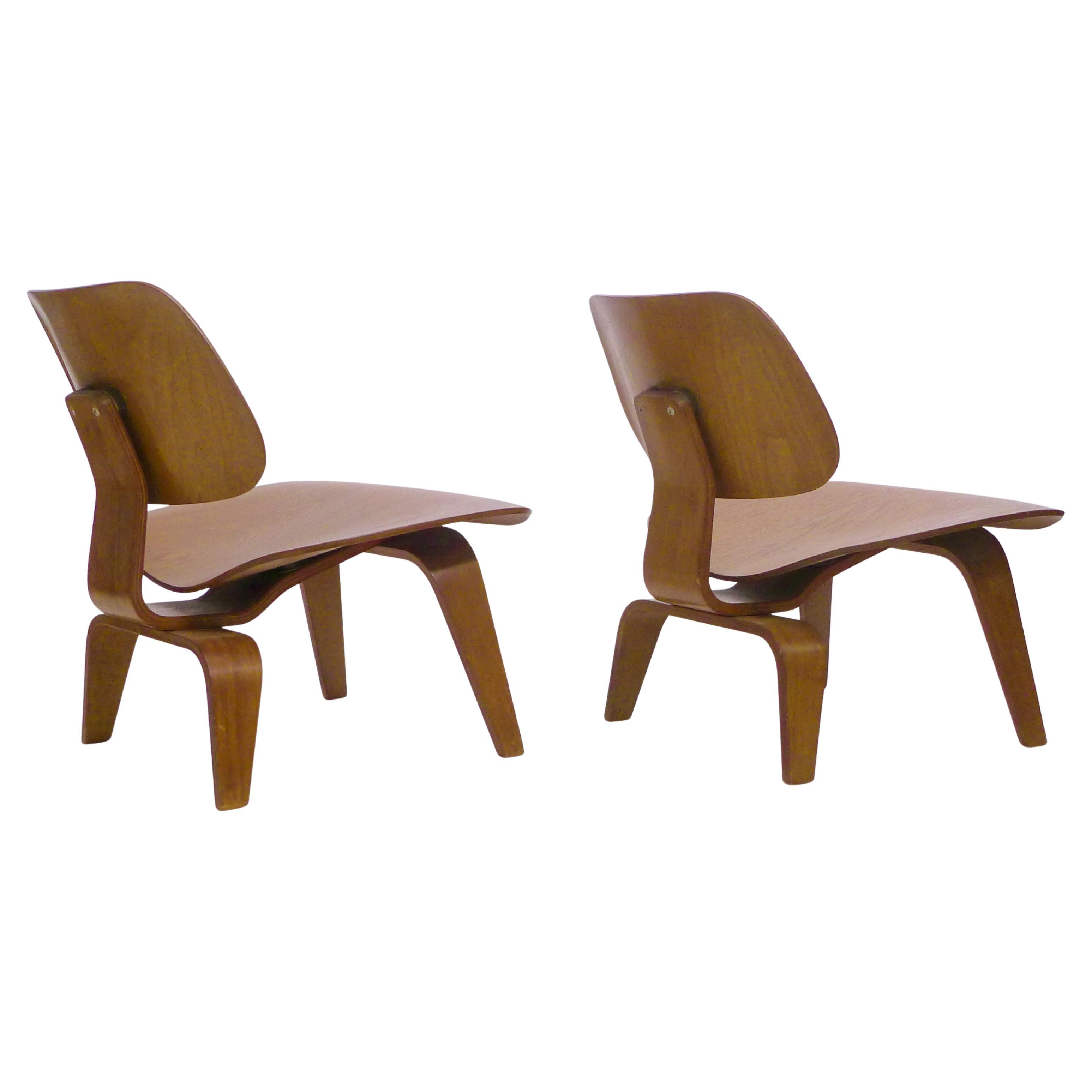 Seltenes Vorproduktionspaar der Eames LCW Chairs, Nussbaumsperrholz, 1945