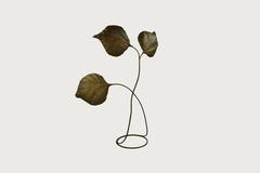 Carlo Giorgi Leaf Lamp