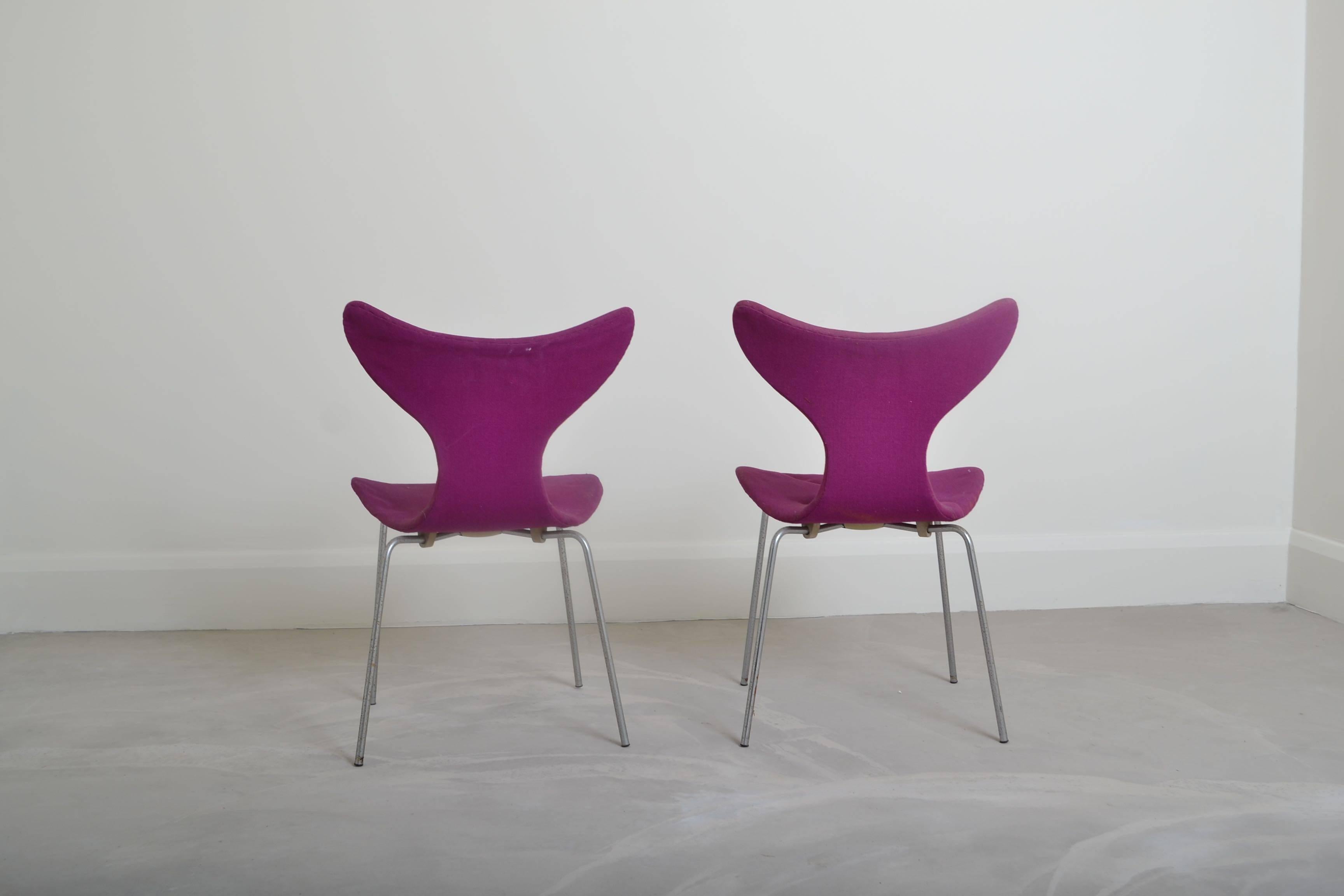 Danish Eight Arne Jacobsen Lily Chairs, Denmark, circa 1950 For Sale