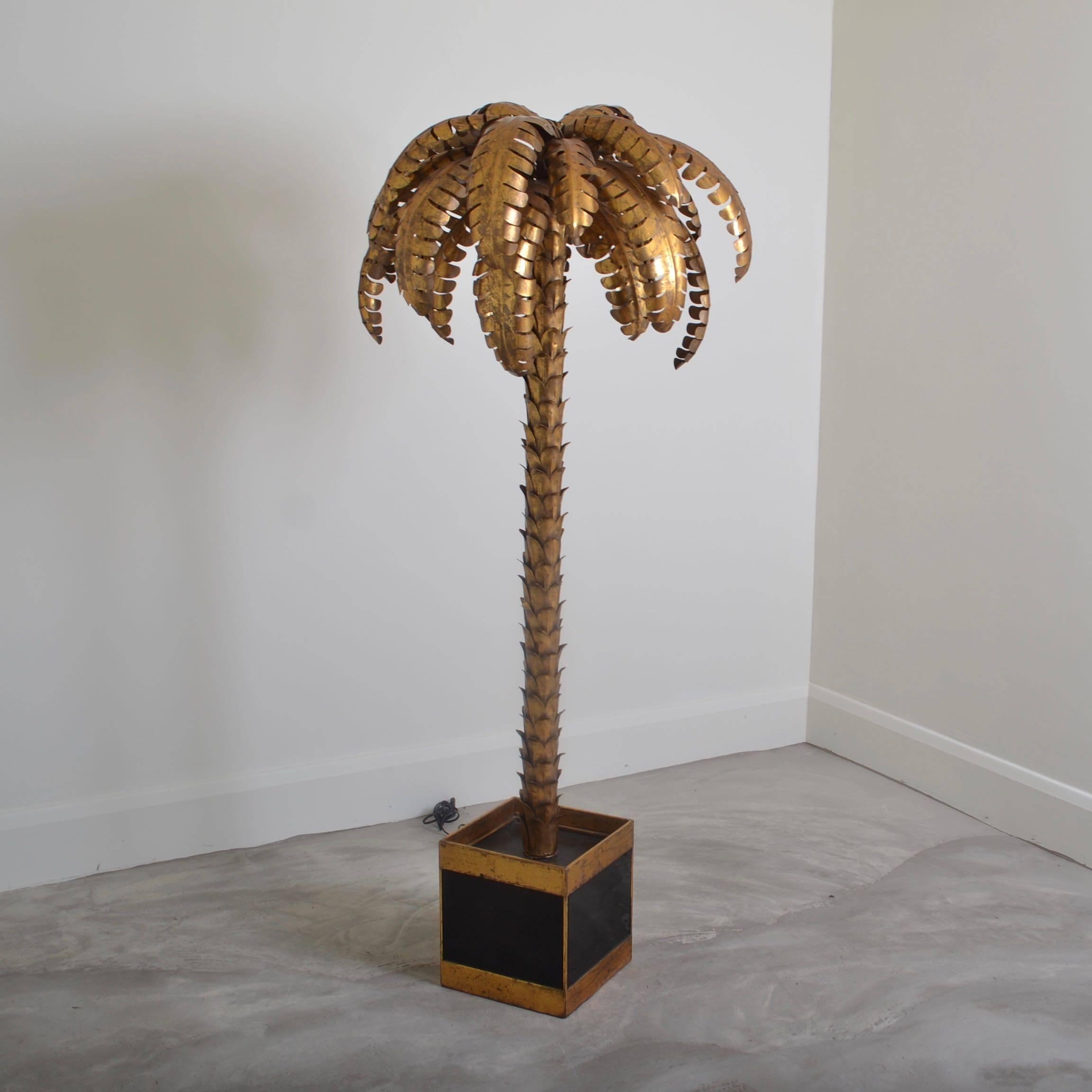 Six foot high palm tree floor lamp.
Gilt metal palm tree with black painted iron and glass base.
Two concealed bulbs within the palm fronds.
Exceptional size and elegant shape.
     