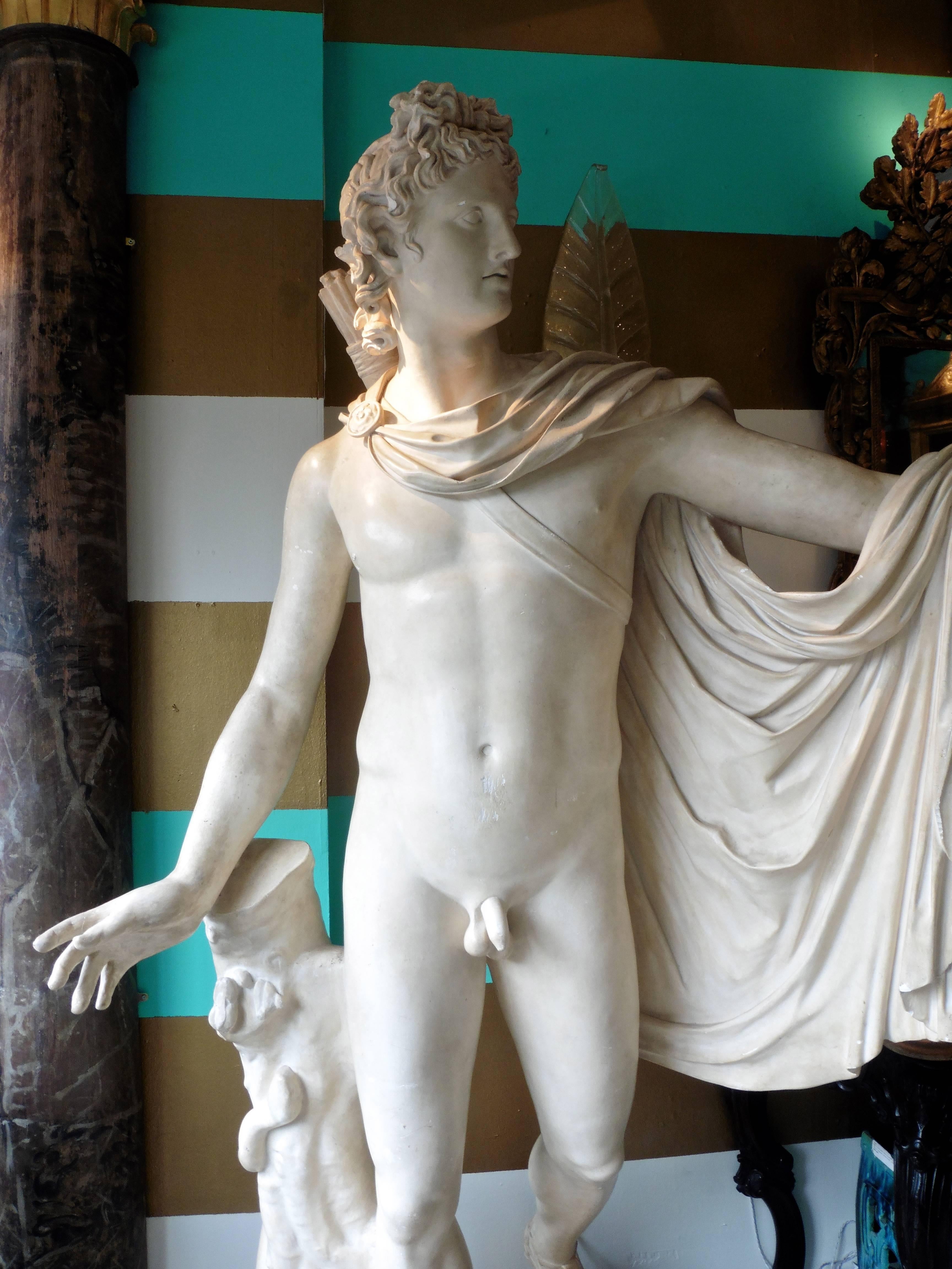 French Plaster Cast of the Apollo Belvedere, 19th Century 1