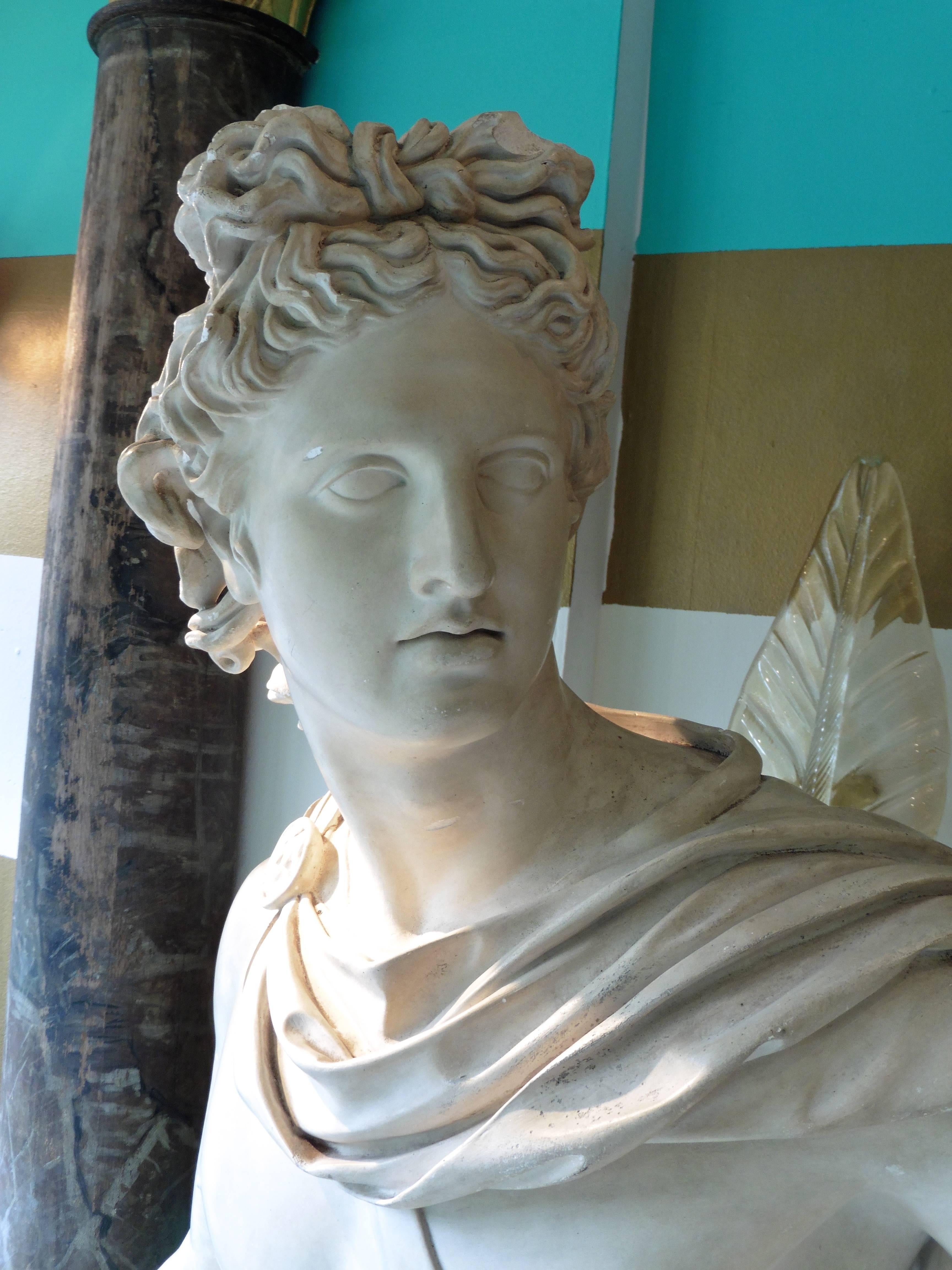 French Plaster Cast of the Apollo Belvedere, 19th Century 3