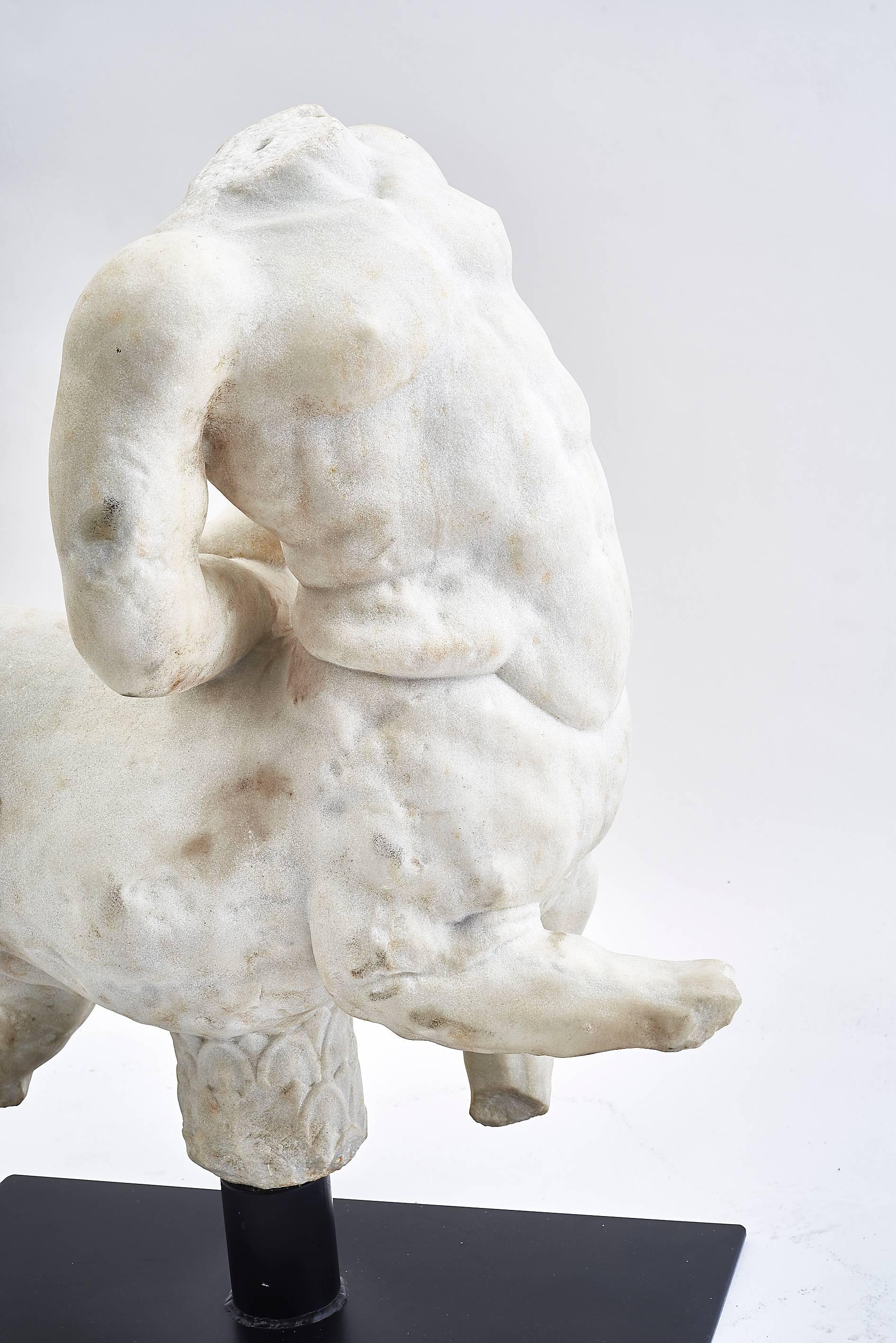 A fine carved Italian Grand Tour marble fragmentary copy depicting the torso of the 'older' Furietti Centaur, circa 1860.
The Furietti Centaurs are a pair of Hellenistic or Roman grey-black marble sculptures of centaurs based on Hellenistic models.