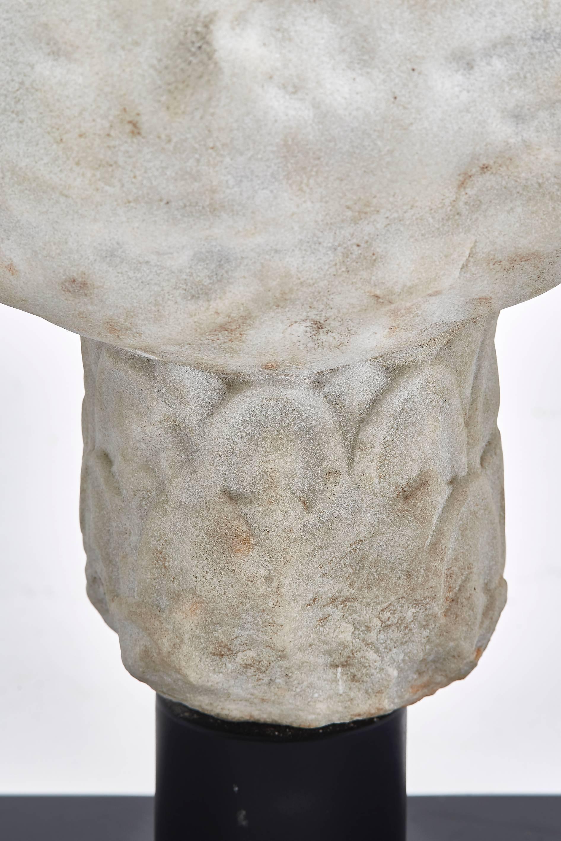 Italian Carved Marble Torso of the 'Older' Furietti Centaur, circa 1860 1
