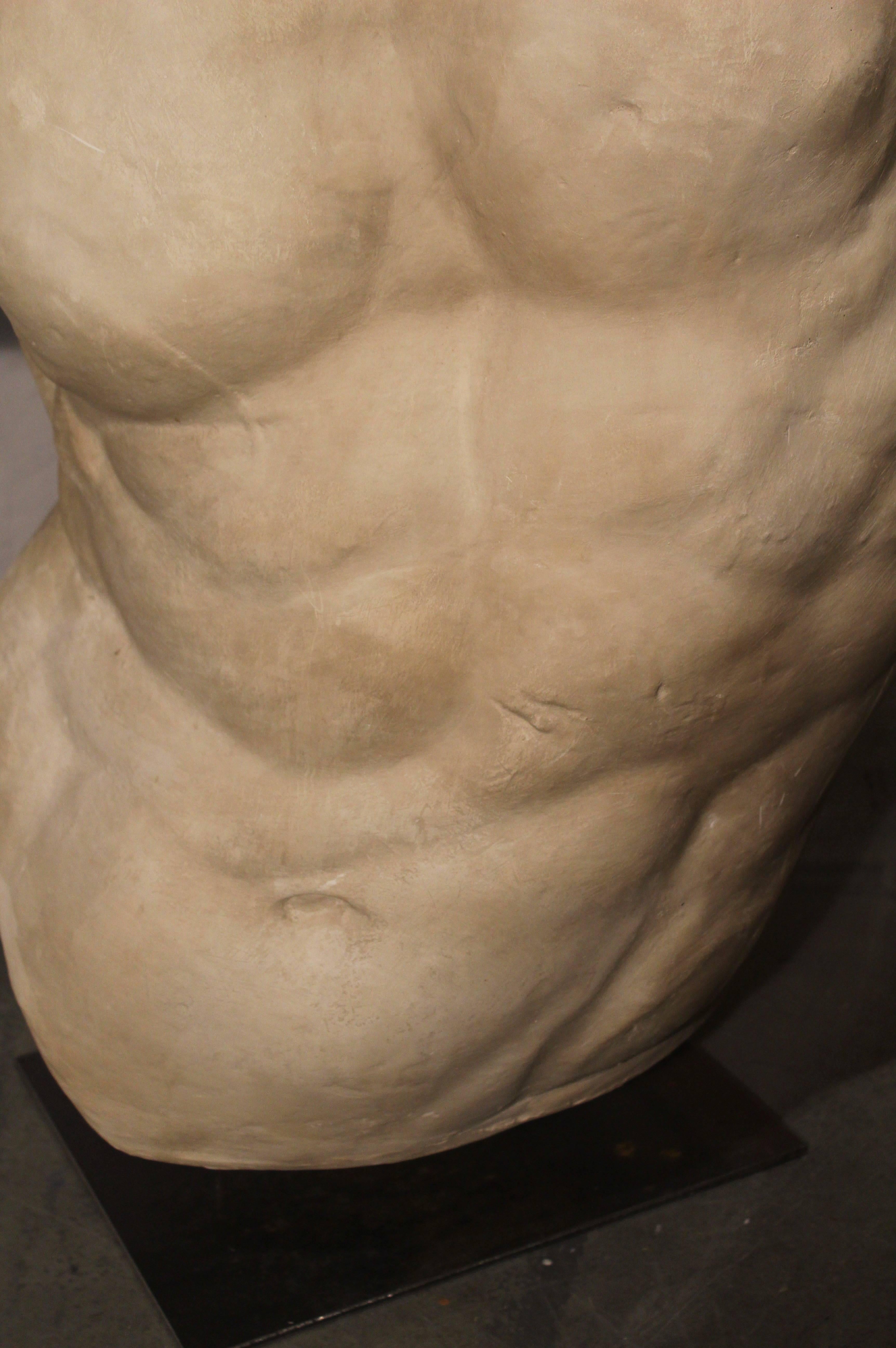 Italian Plaster replica of the Gaddi torso c.1930.  The Original sculpture displayed in the Uffizi Museums in Florence. The Gaddi Torso has been famed for centuries due to its  emphasis on the study of anatomy and muscles, expressed in the peculiar