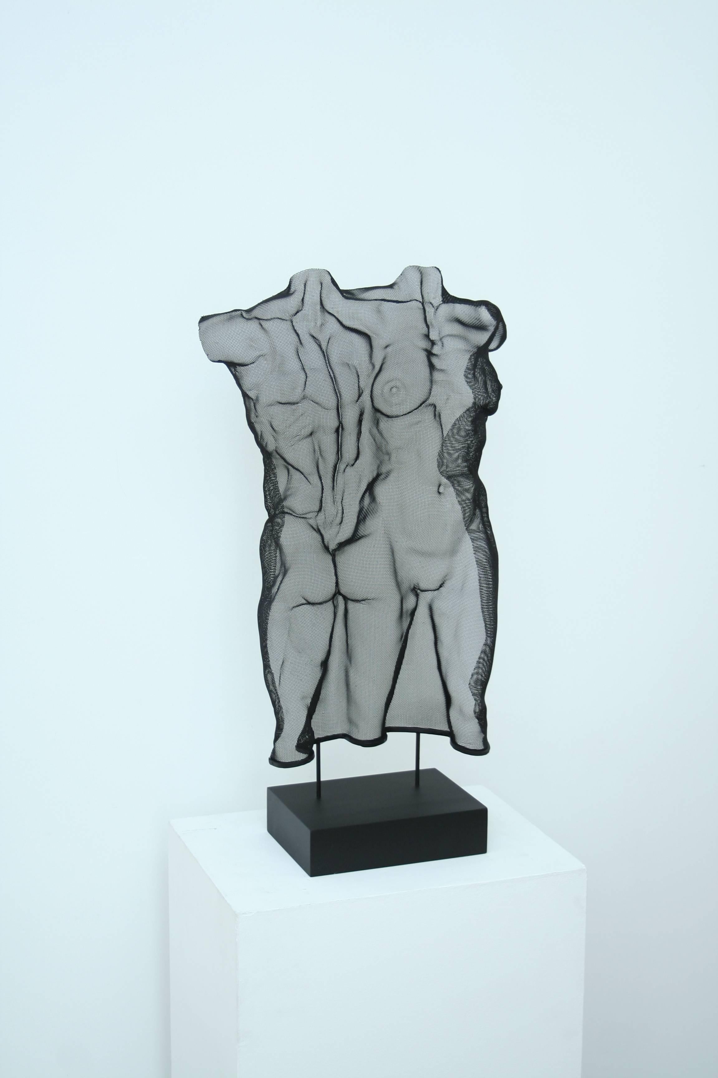 Born in Edinburgh, David Begbie studied at the capital's art school from which he emerged with a unique sculptural technique and the beginnings of a new visual language using steel-mesh.

Since his graduation in 1982 he has worked almost