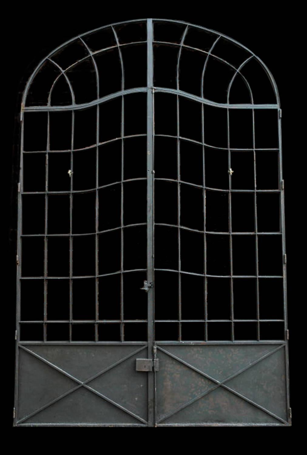 French Iron Multi-Light Windows and Doors For Sale