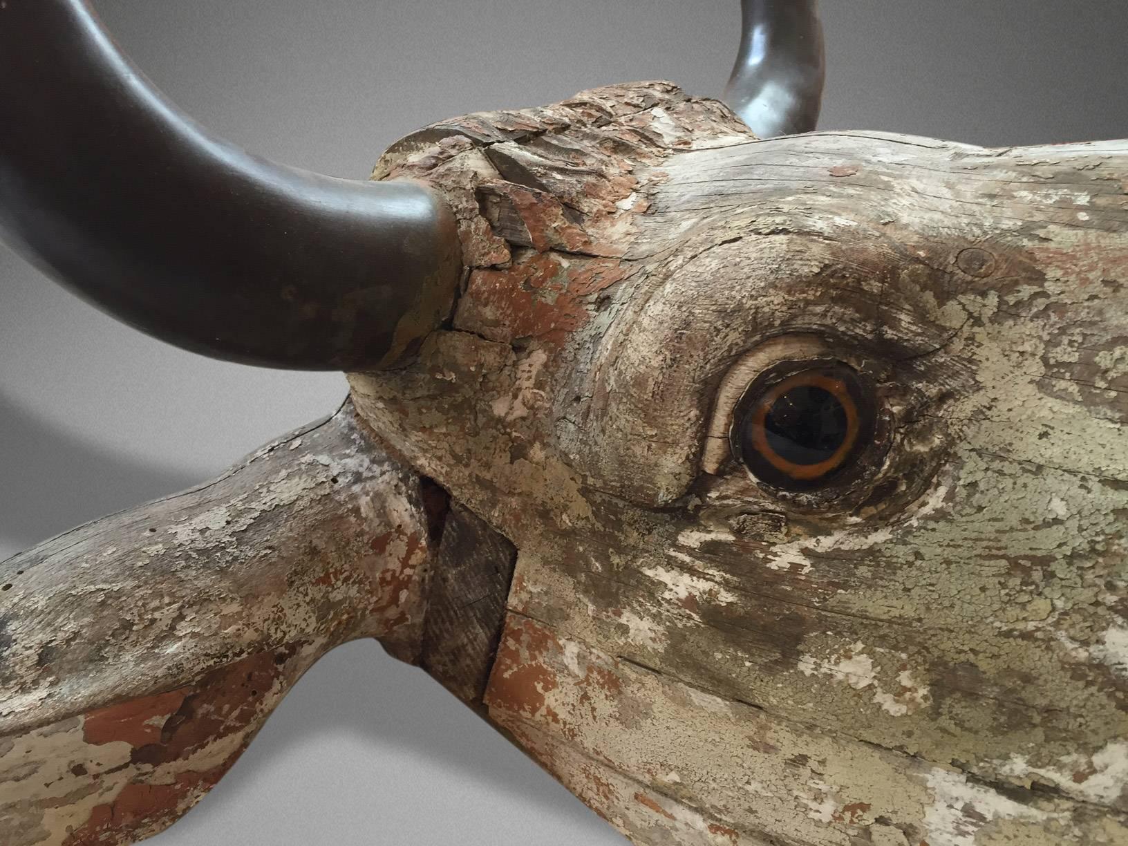 French Head of a Bull with Bronzed Horns