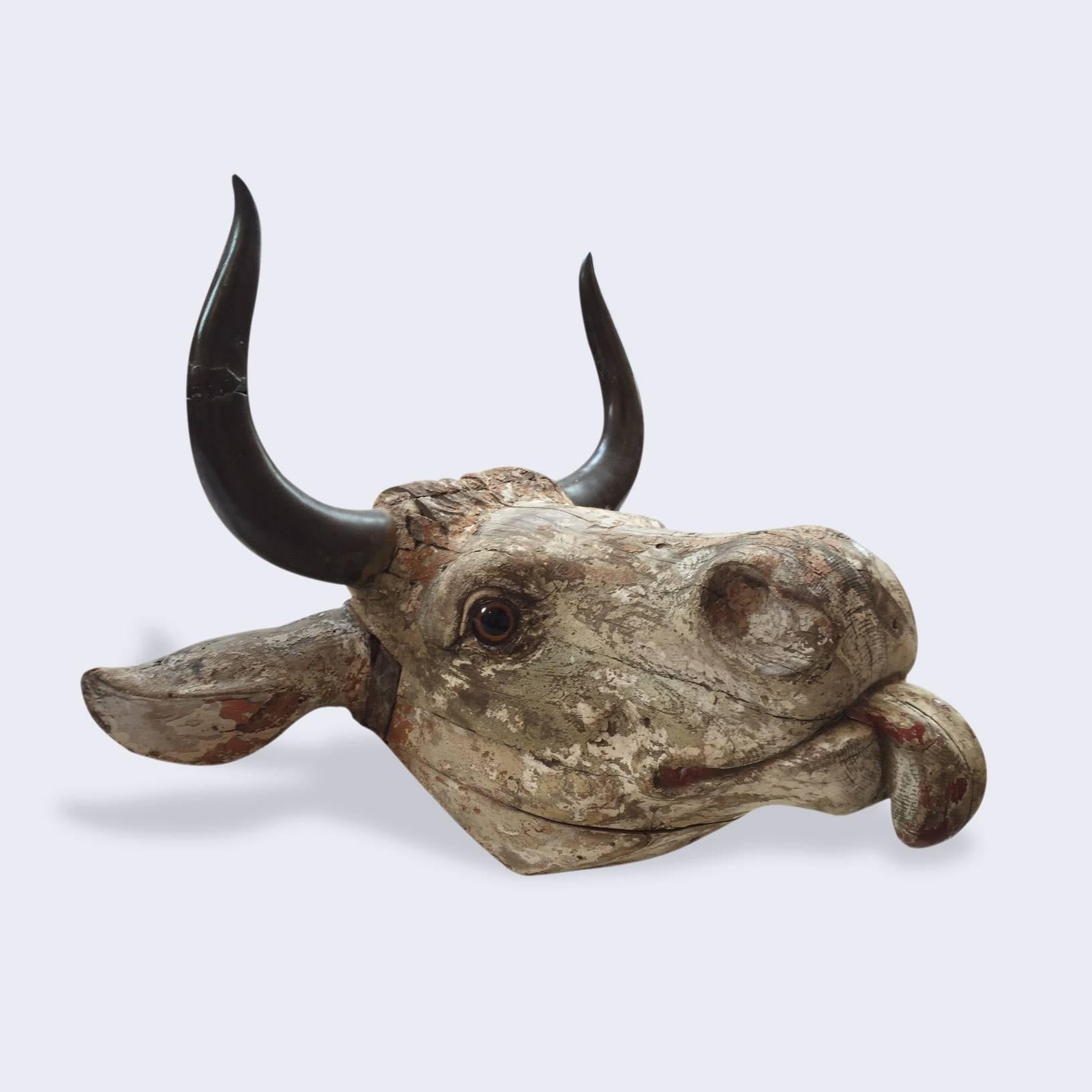Head of a Bull with Bronzed Horns In Good Condition In London, GB
