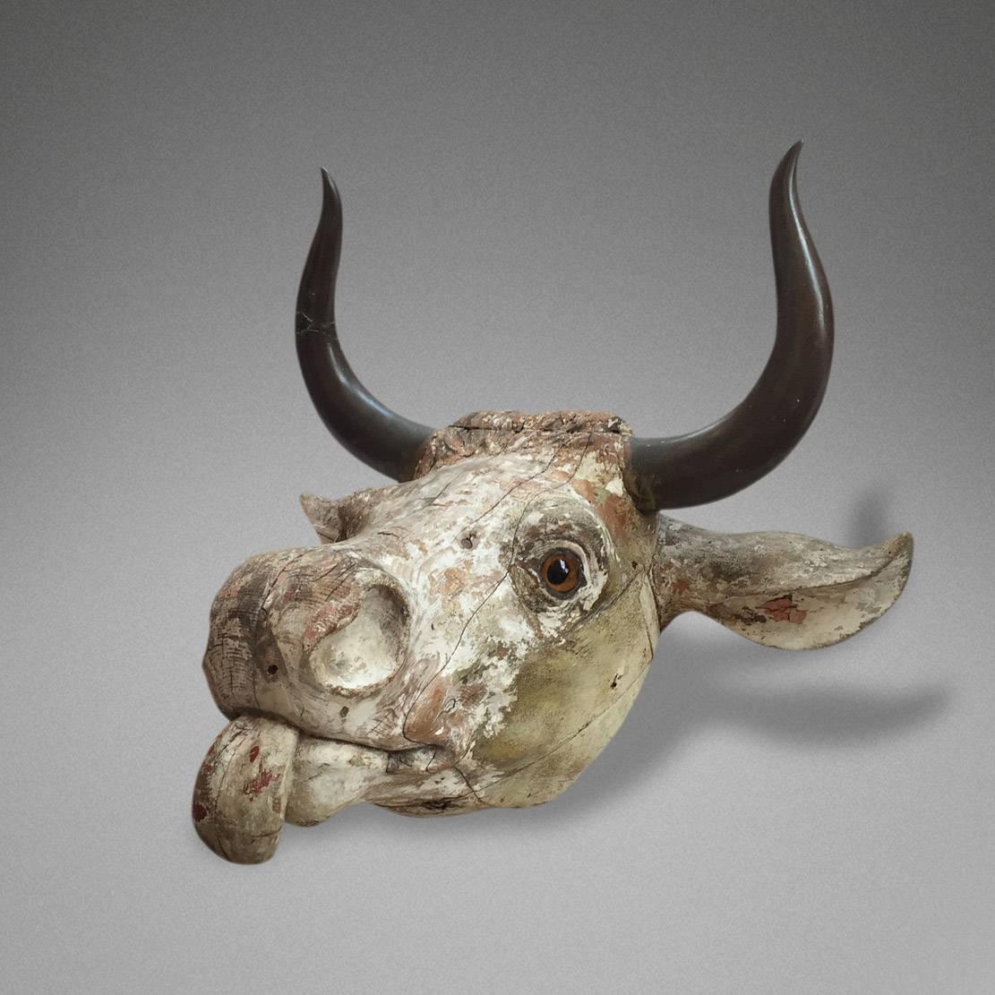 19th Century Head of a Bull with Bronzed Horns