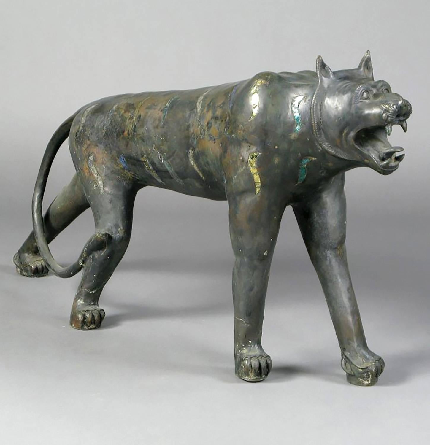 gatto della giungla