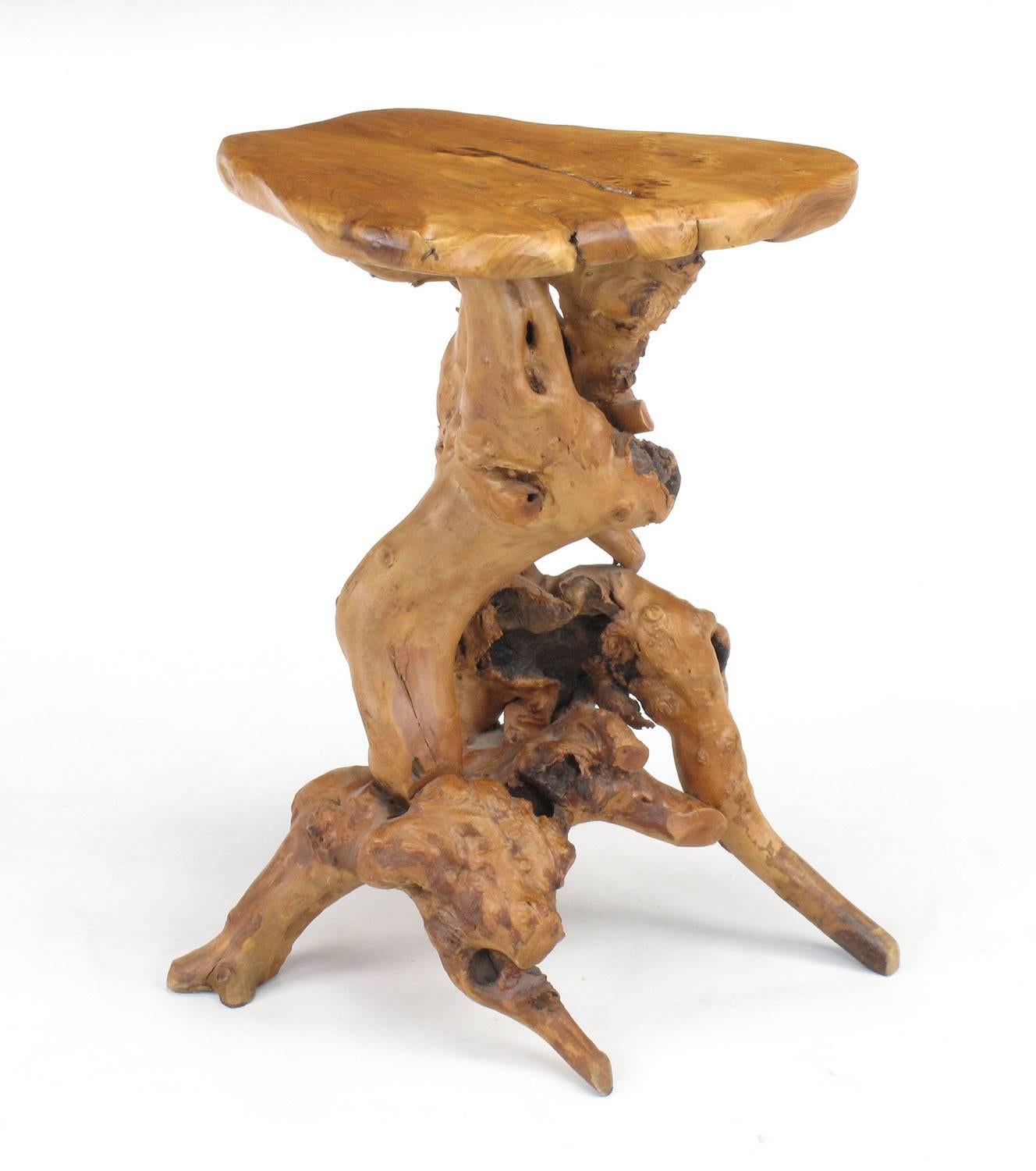 American Organic Free-Form Cypress Root Side Table