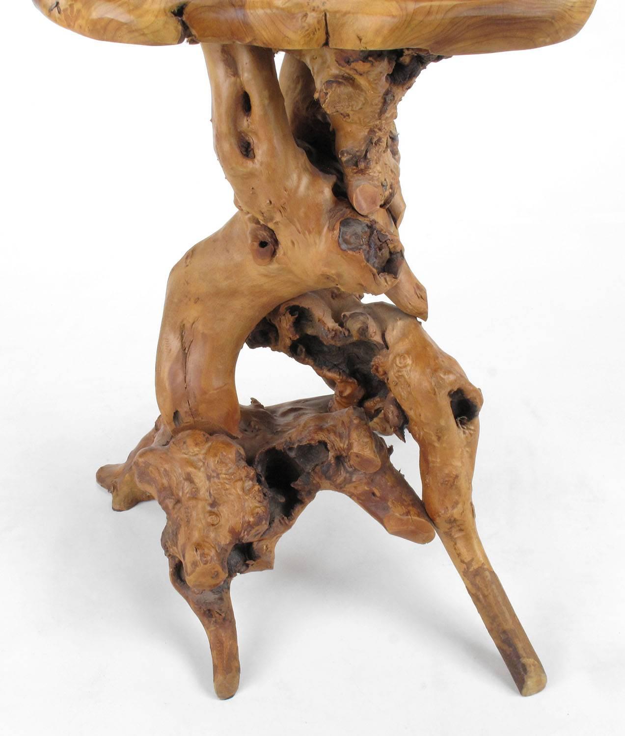 Organic Free-Form Cypress Root Side Table 1