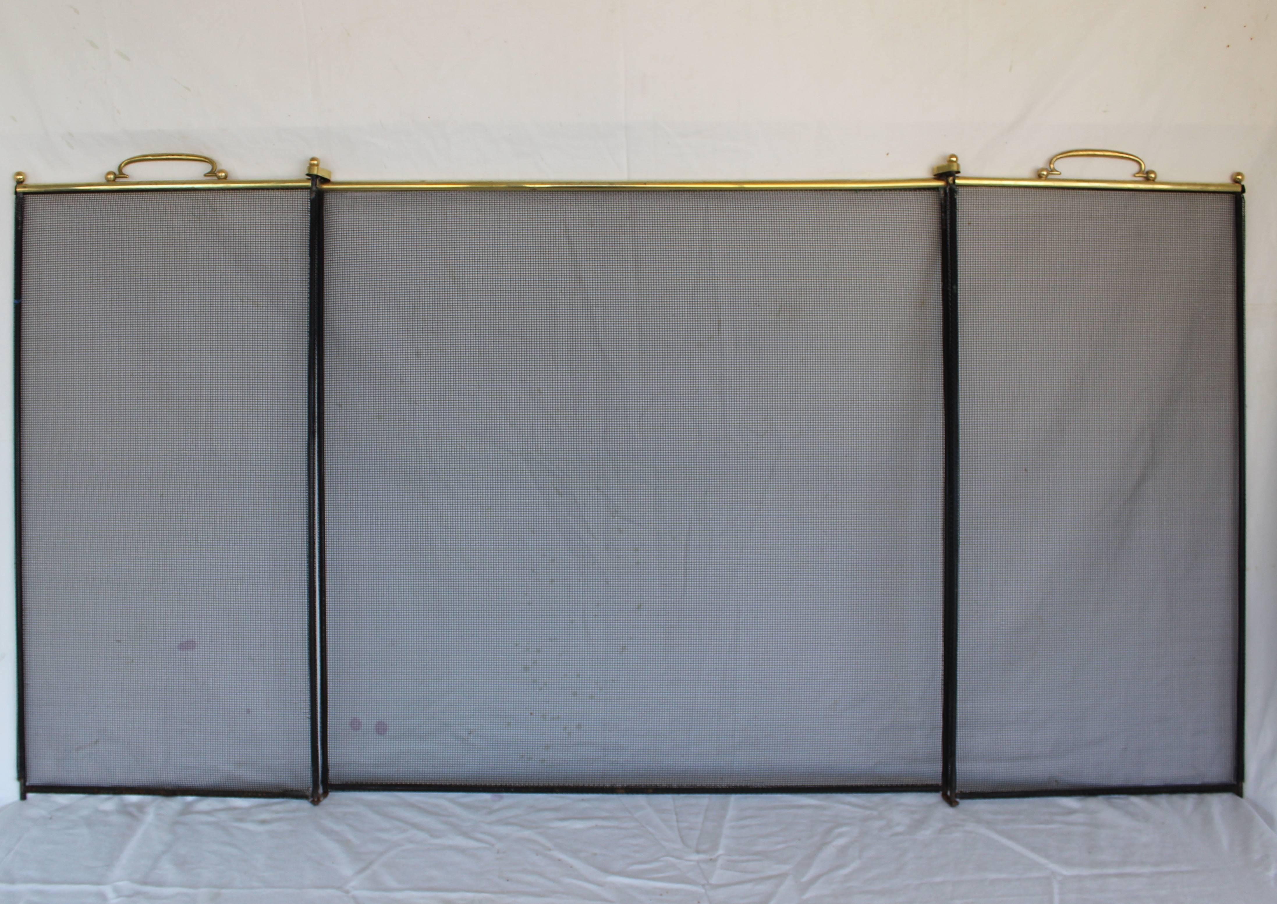 Brass and Metal Fireplace Screen 4