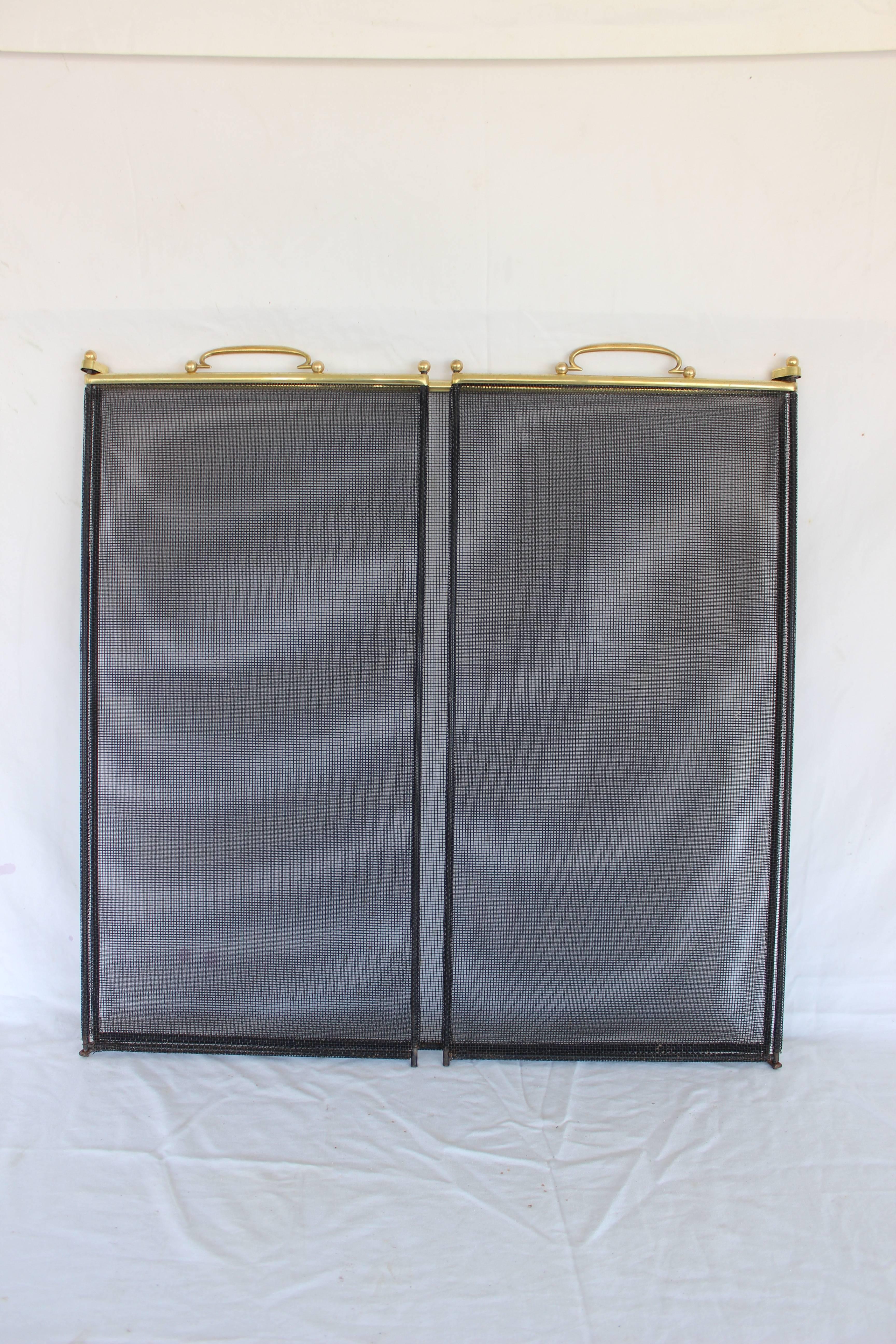Brass and Metal Fireplace Screen 3