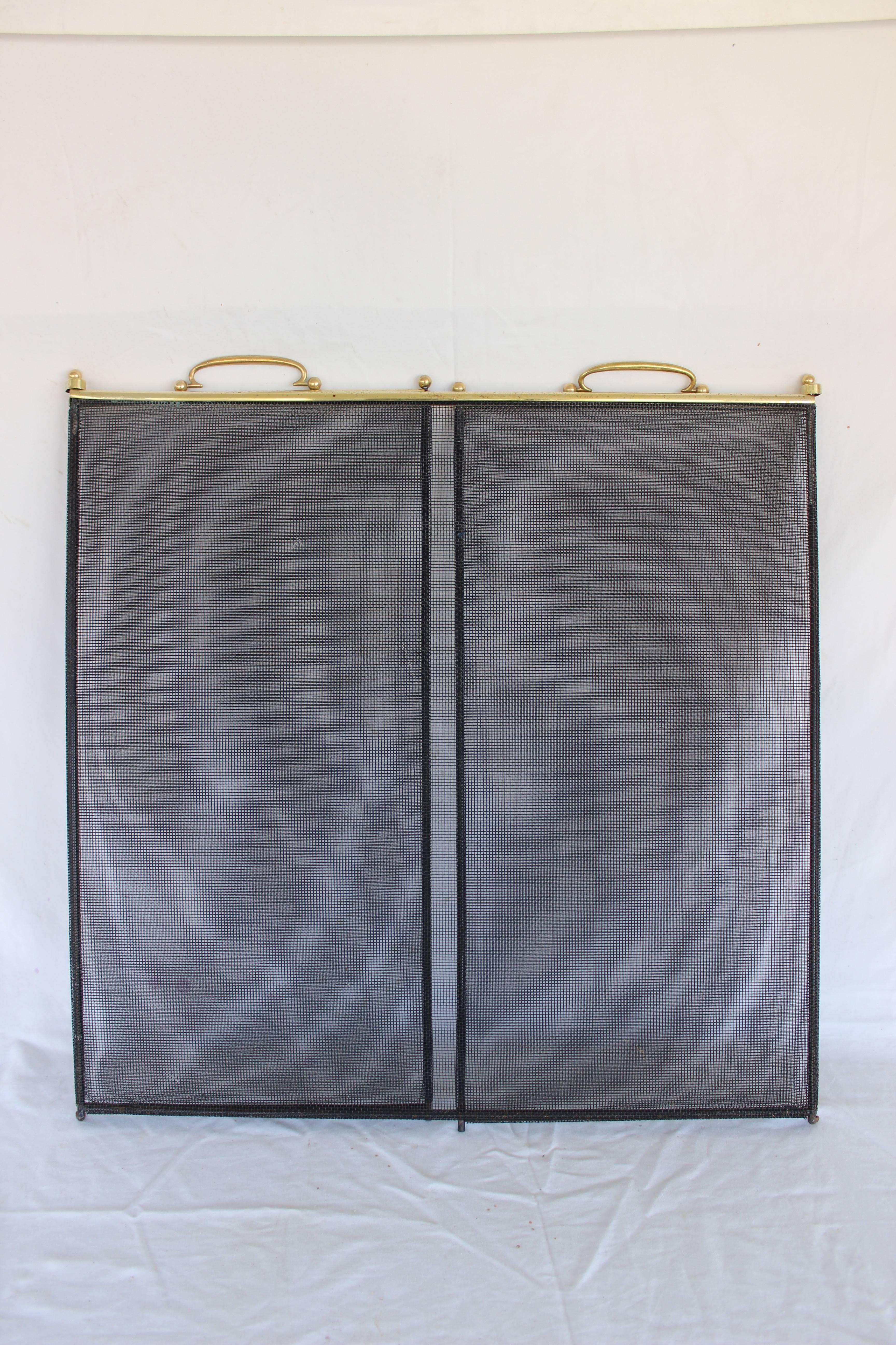 Brass and Metal Fireplace Screen 2