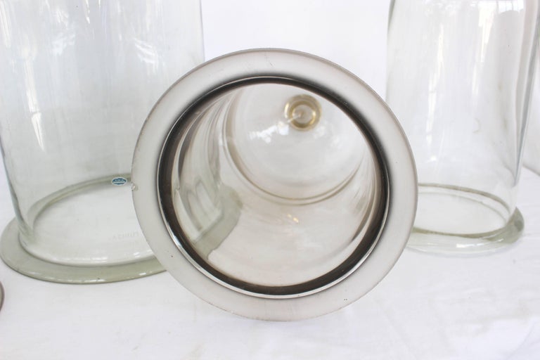Collection of Antique Glass Cloches at 1stDibs antique bell jars