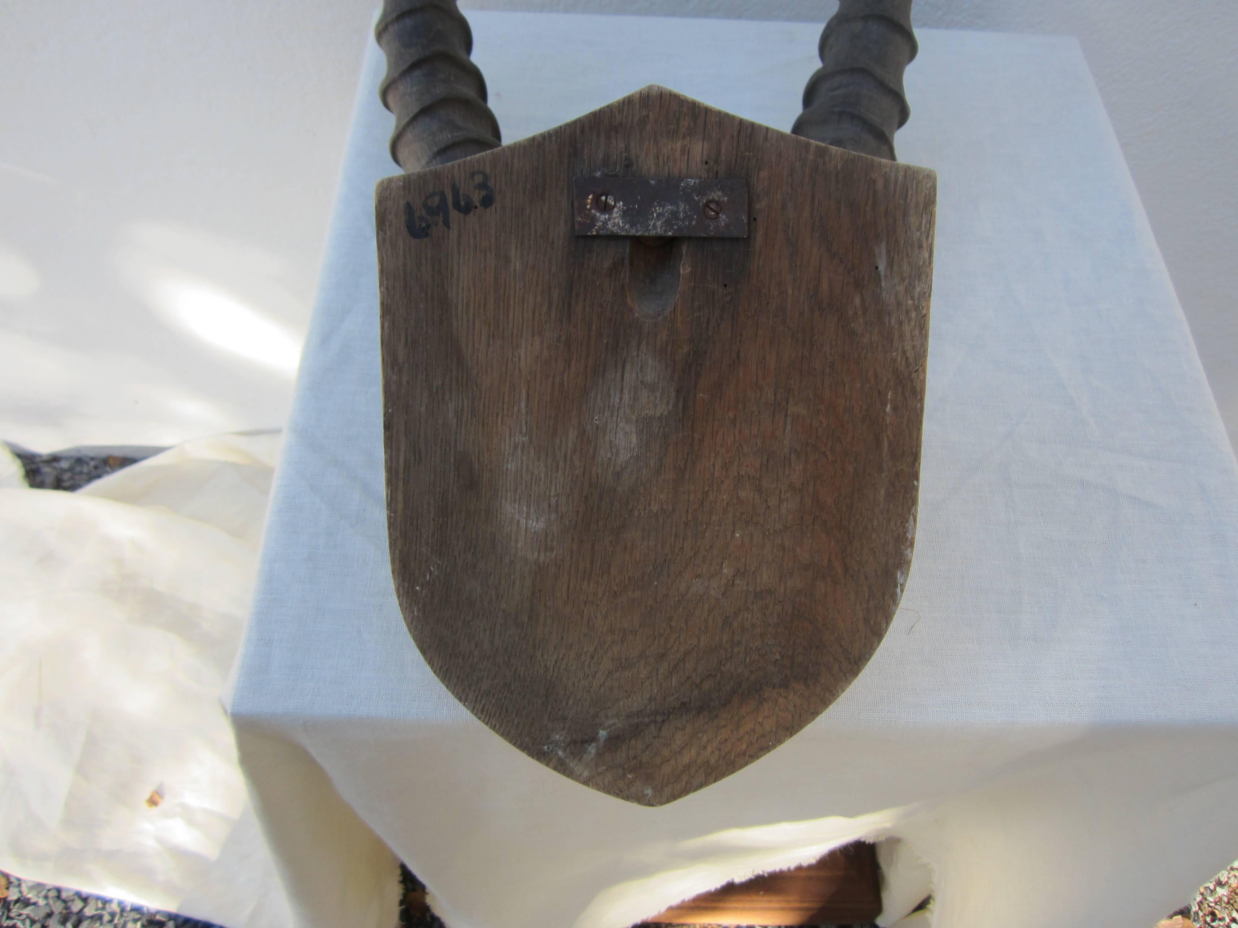 Pair of Roan Antelope Horns 1
