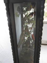 Large Victorian Diorama of Birds