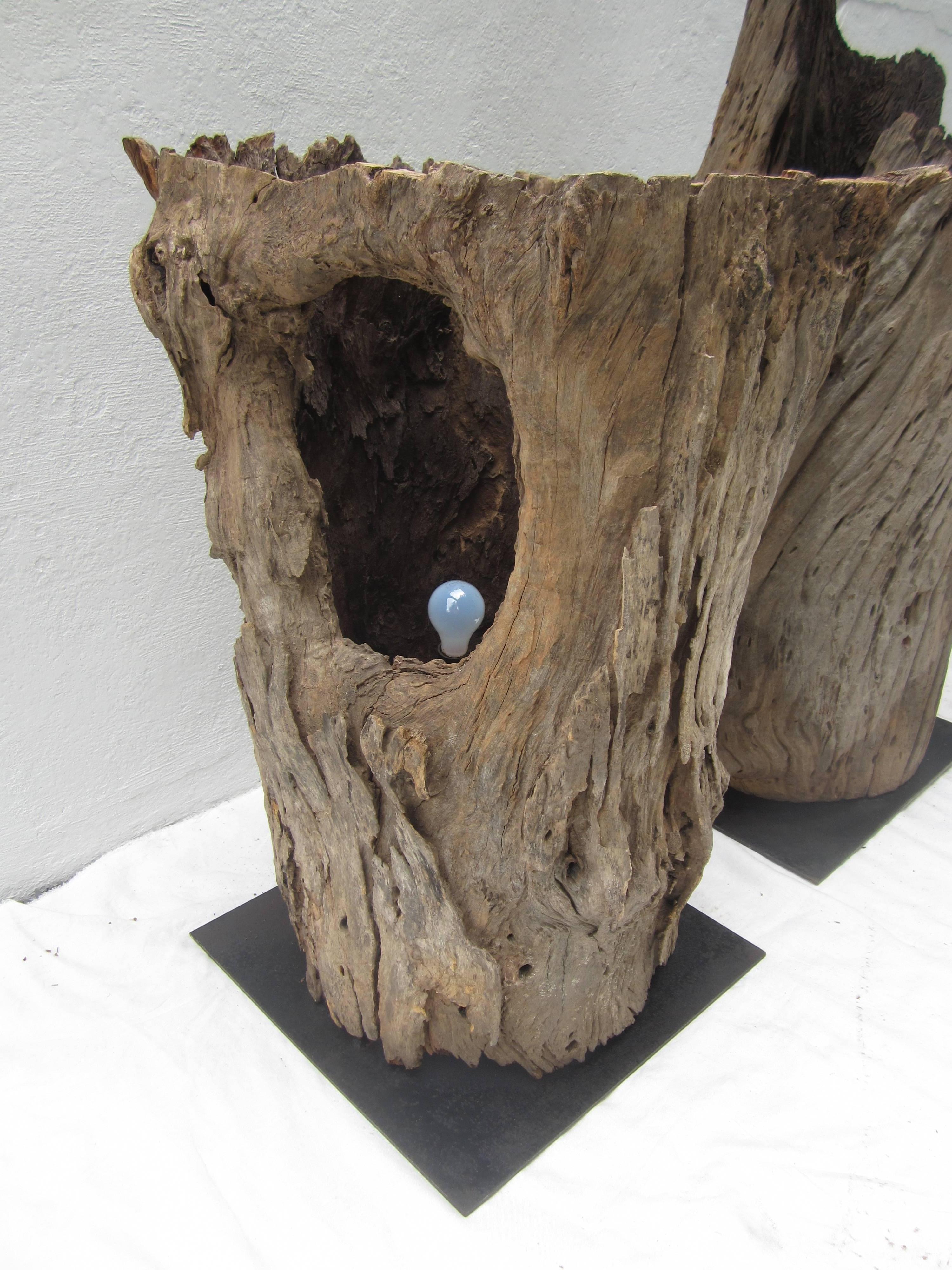 Pair of Tree Trunk Floor Lamps 2