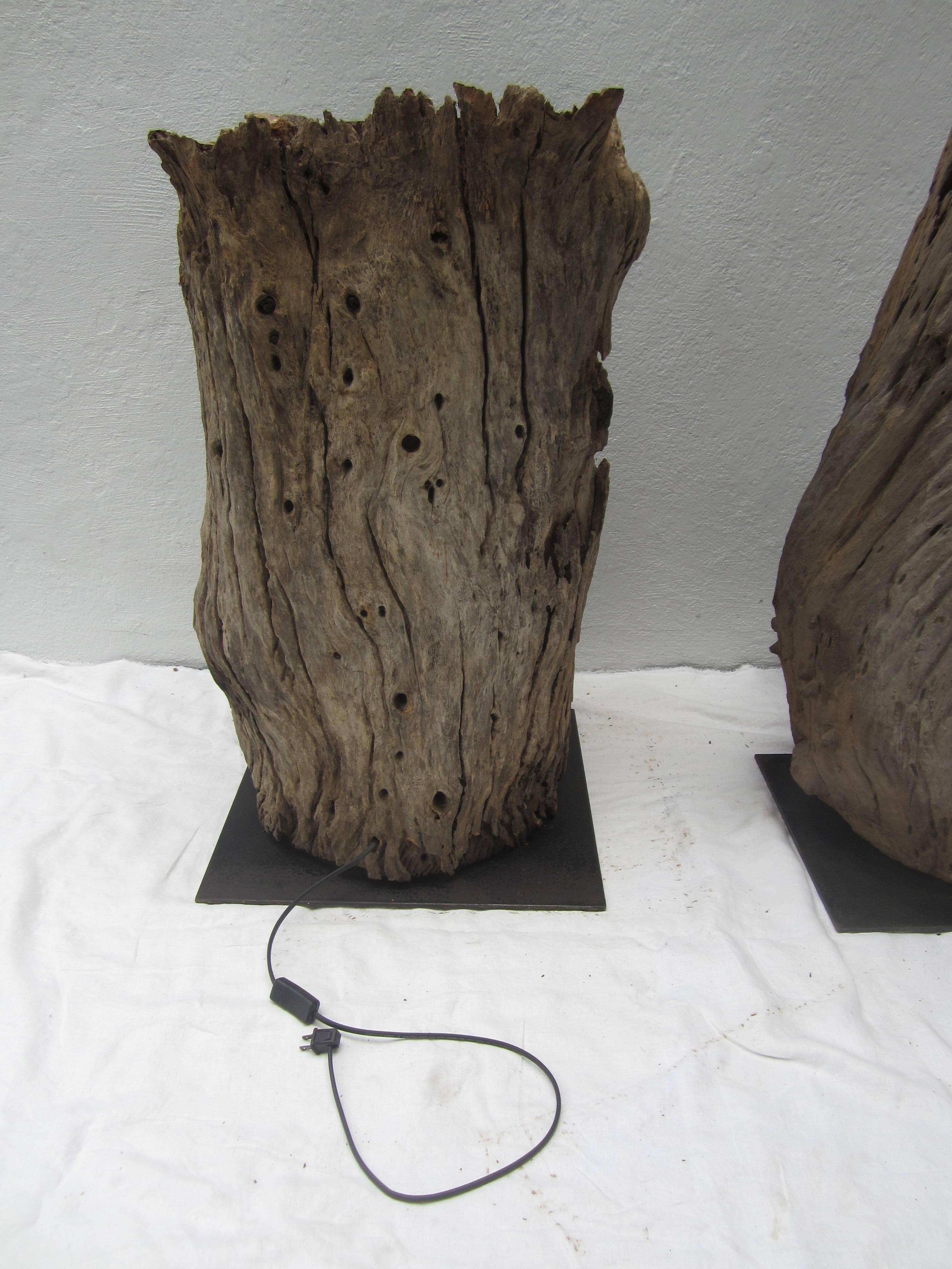 Pair of Tree Trunk Floor Lamps 4