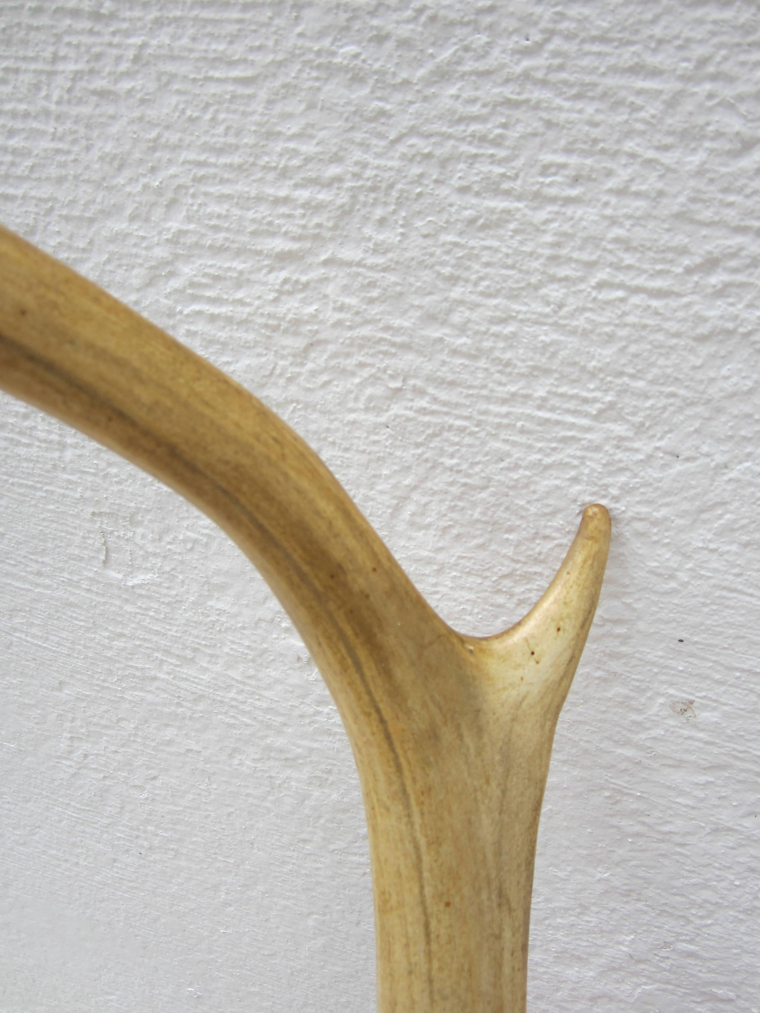 Large Caribou Antlers In Excellent Condition In East Hampton, NY