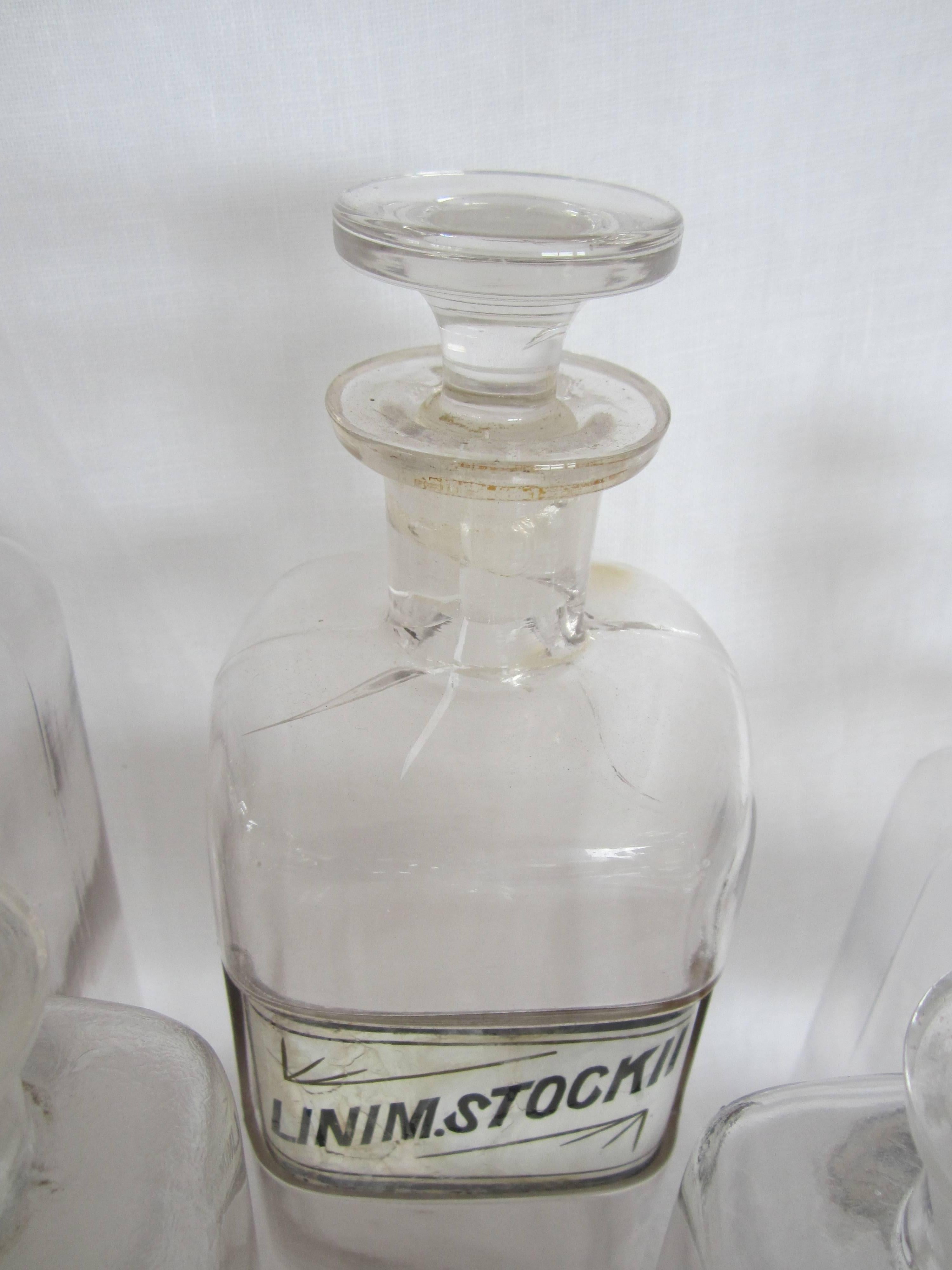 19th Century Apothecary Bottle Collection 3