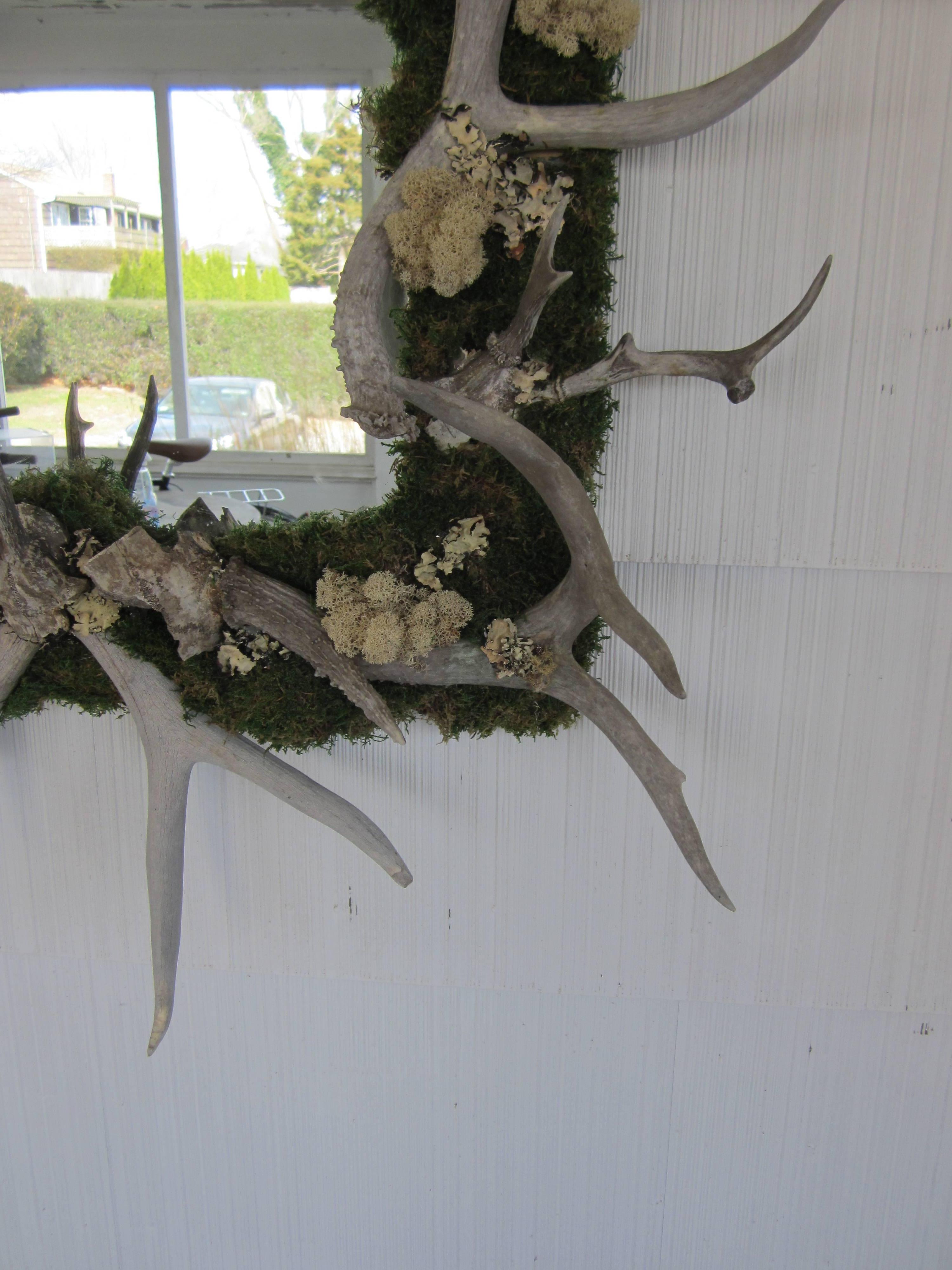 Antler and Preserved Moss Mirror In Excellent Condition In East Hampton, NY