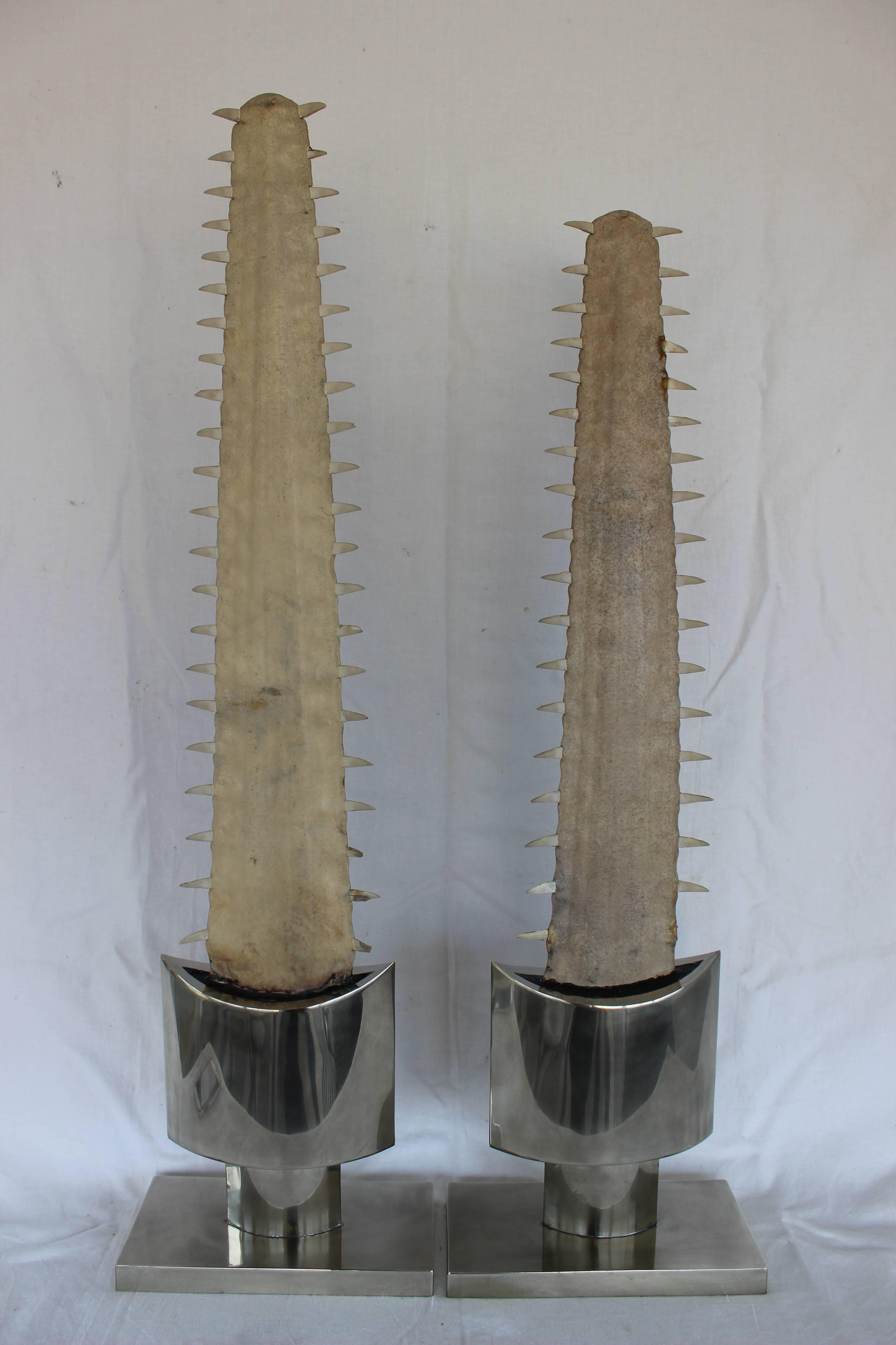 Pair of sawfish bills mounted on steel bases in the style Karl Springer.

Measures: 39 5/8