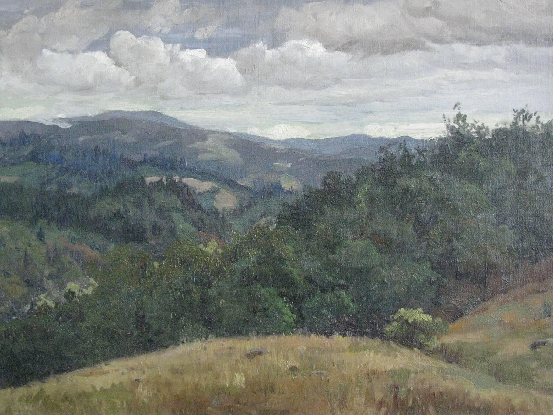 A giltwood framed oil on canvas painting by California artist, William Hubacek, American (1871-1958). Signed lower left. Inscription verso "Palo Alto Hills" Overall dimensions with frame, 27.25 W, 21.50 H, 2.50 D inches.

Although William